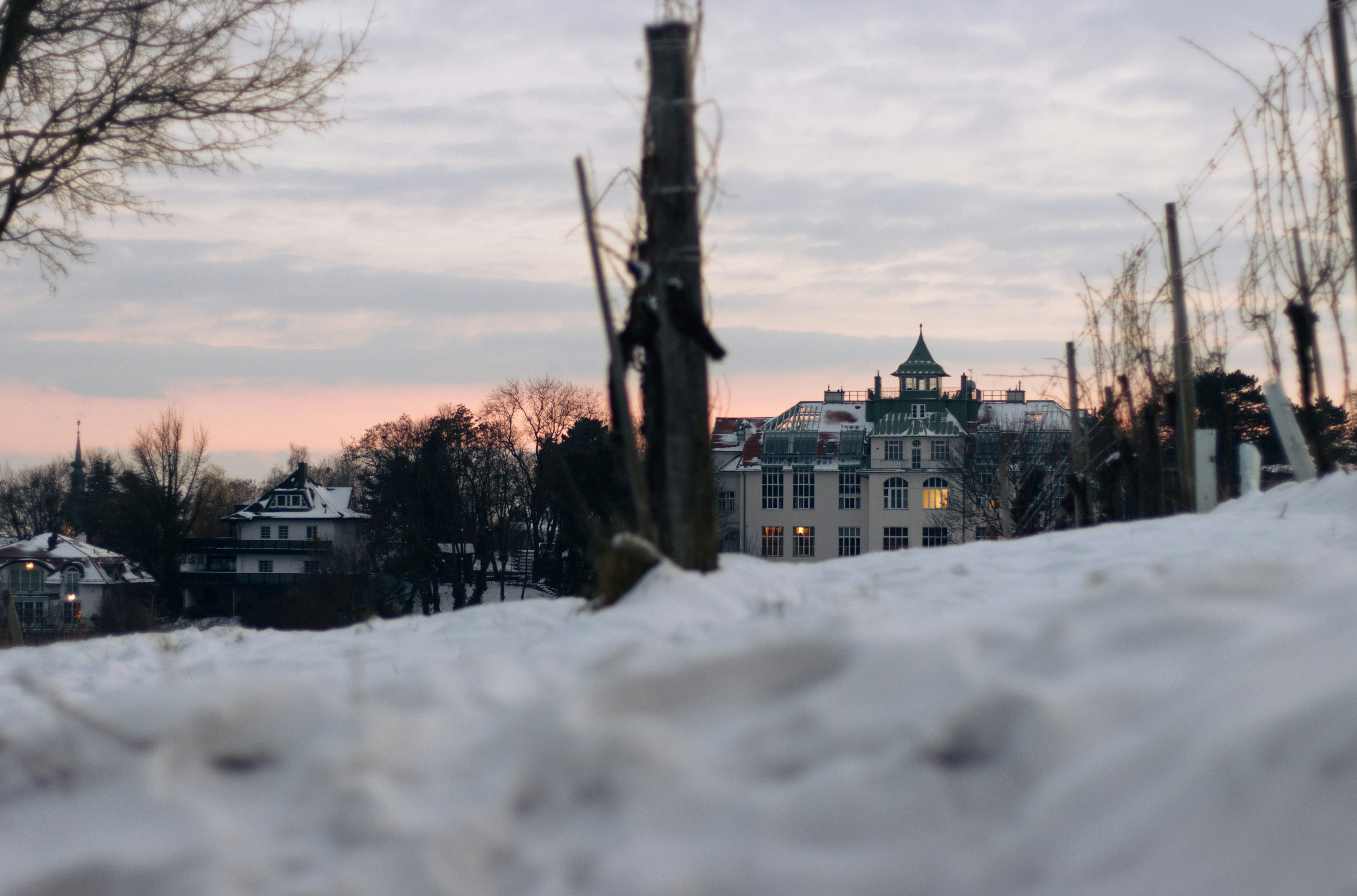 Photo by herrlechner