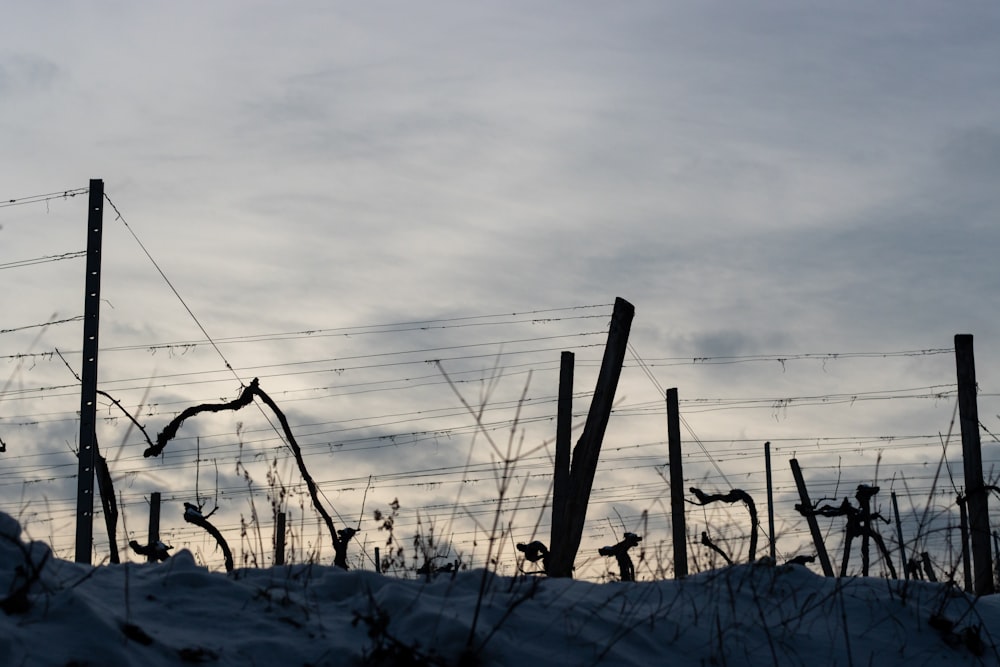 a barbed wire fence with snow on the ground