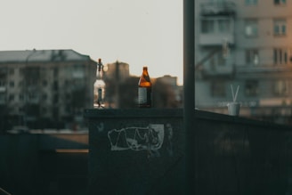 A set of minimalist glassware arranged on a concrete countertop with a blurred cityscape background.