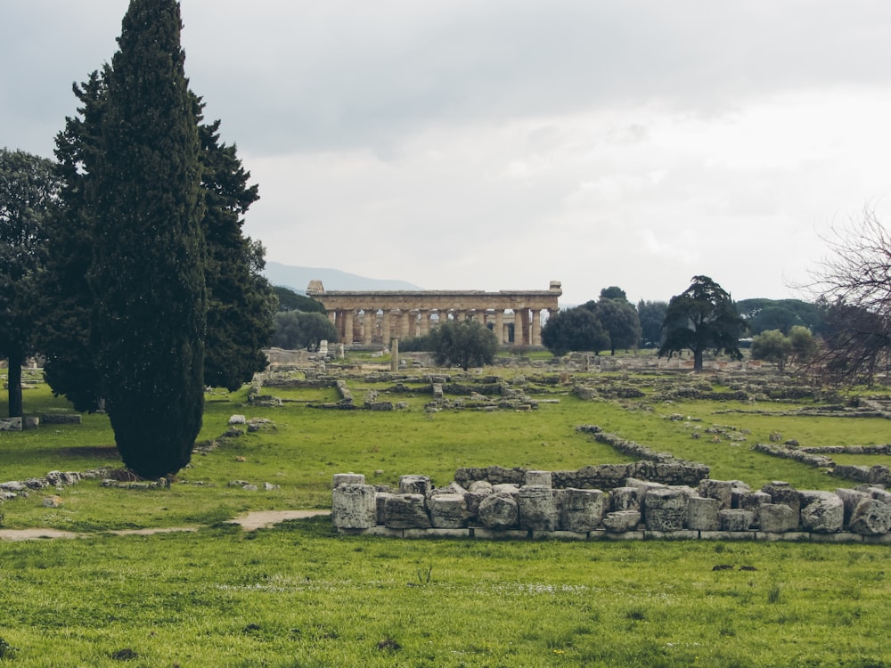 un grande campo erboso con un edificio sullo sfondo