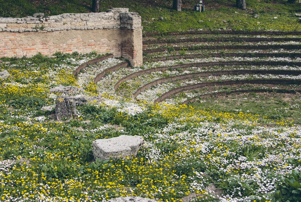 Un banco de piedra sentado en medio de un campo de flores