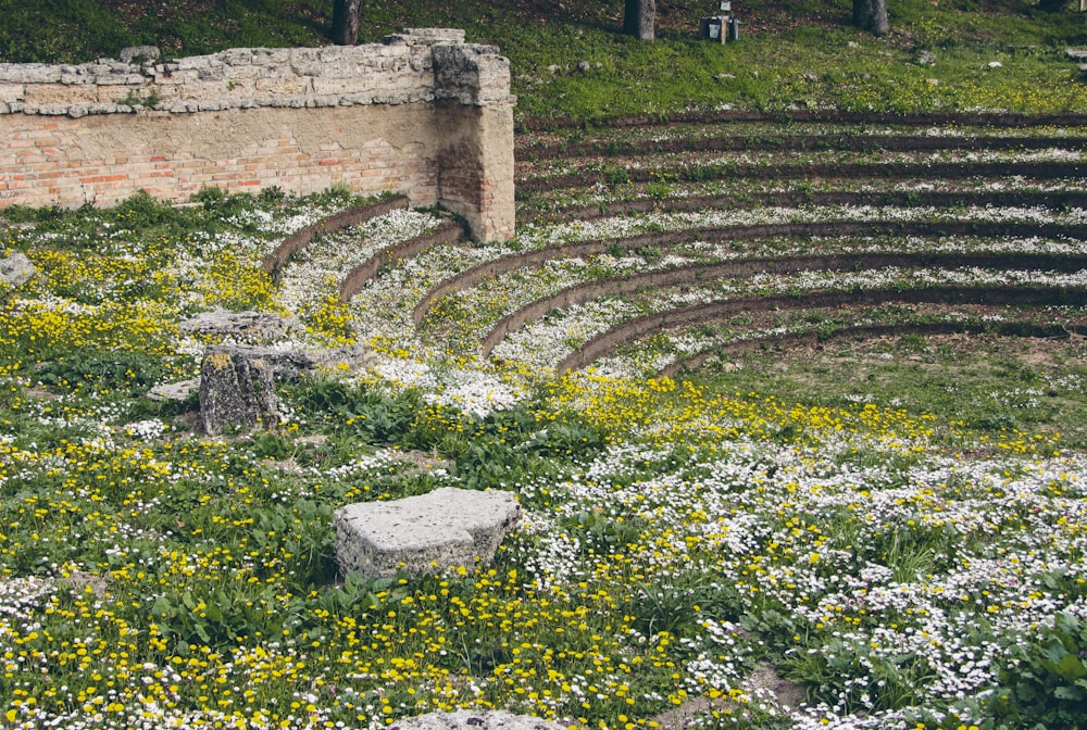 um banco de pedra sentado no meio de um campo de flores