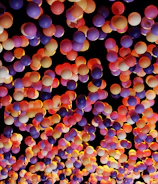 Colorful balloons surrounding a photo booth at a lively corporate event.