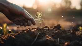 A close-up of hands planting a seed, symbolizing growth.