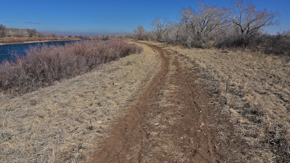 a dirt road near a body of water