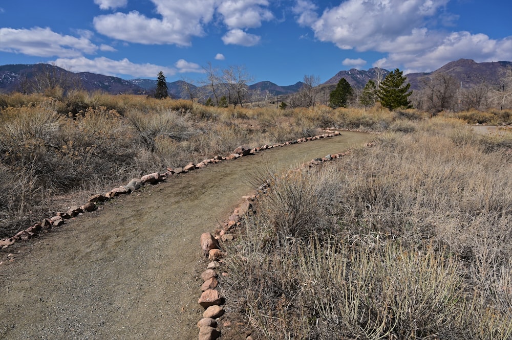 a dirt road in the middle of a dry grass field