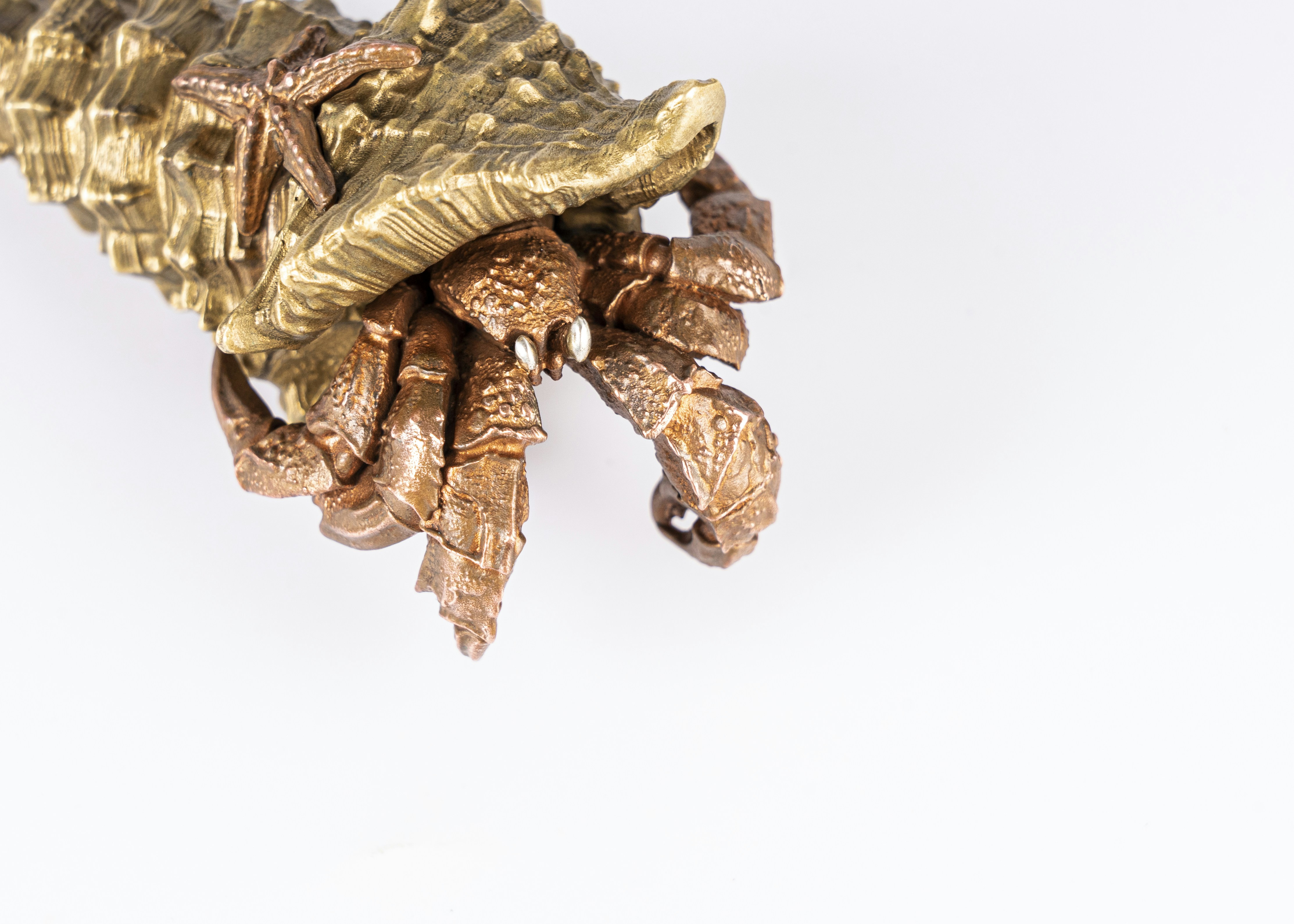 Photo by coppertistwu