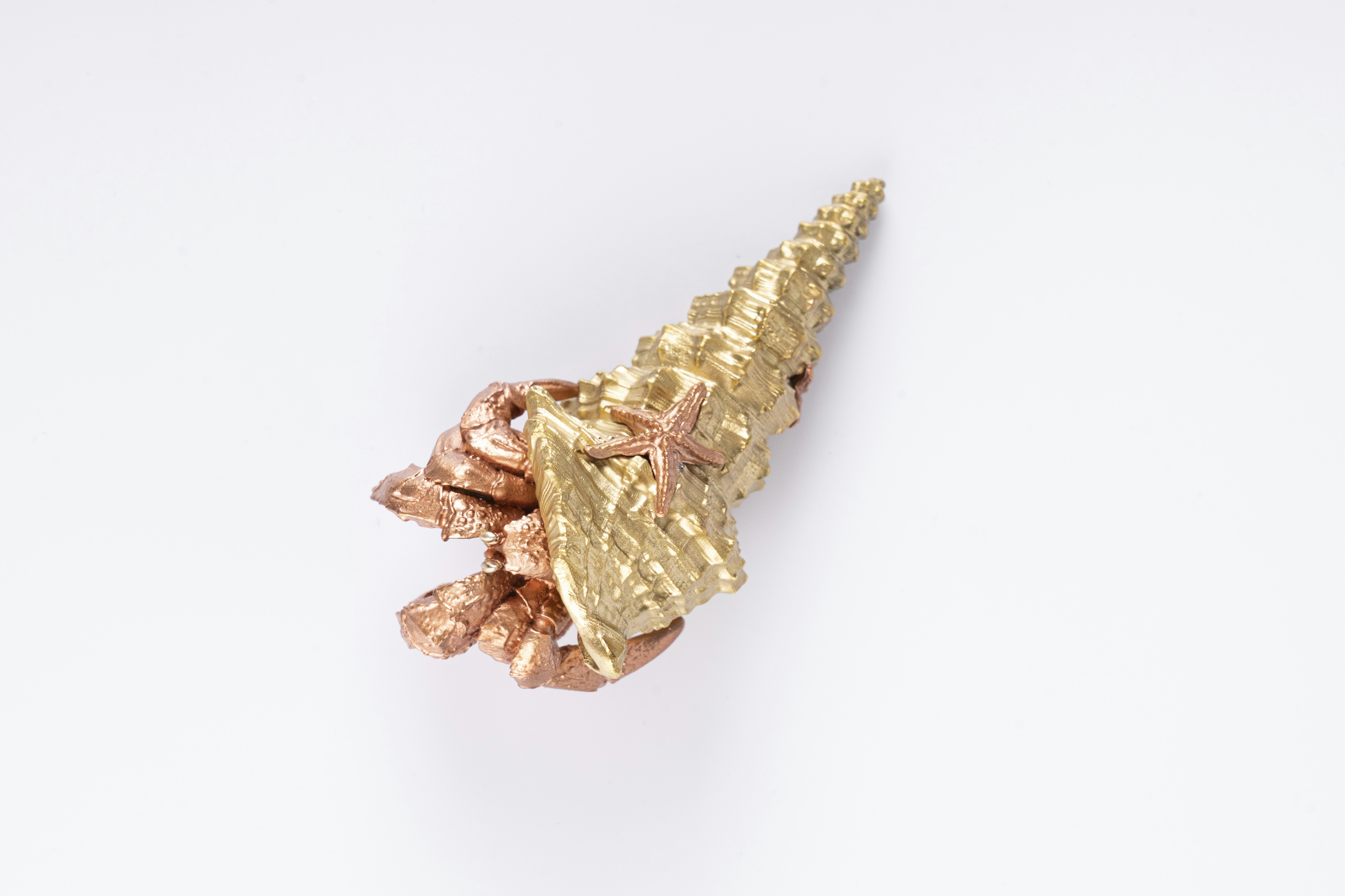 Photo by coppertistwu