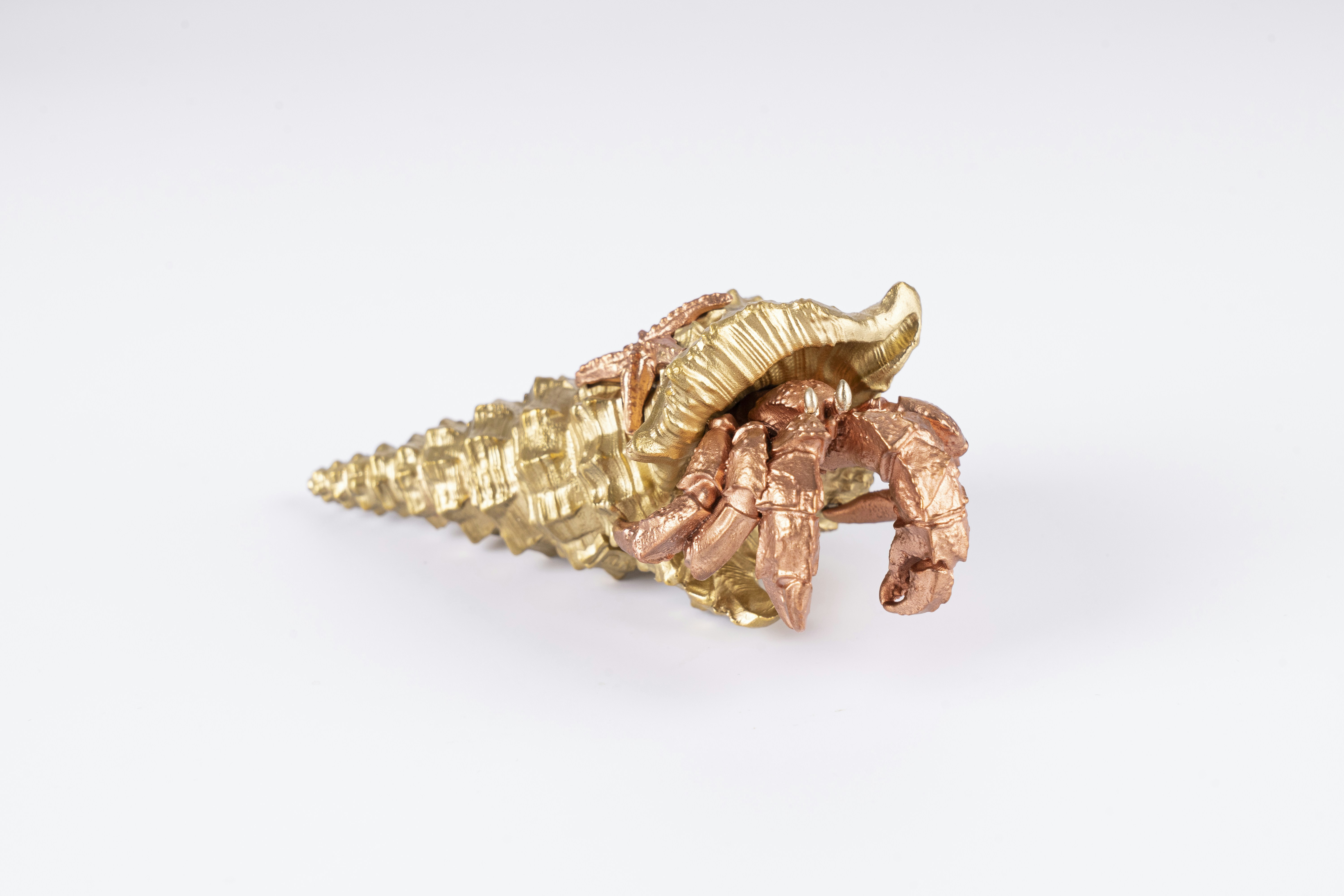 Photo by coppertistwu