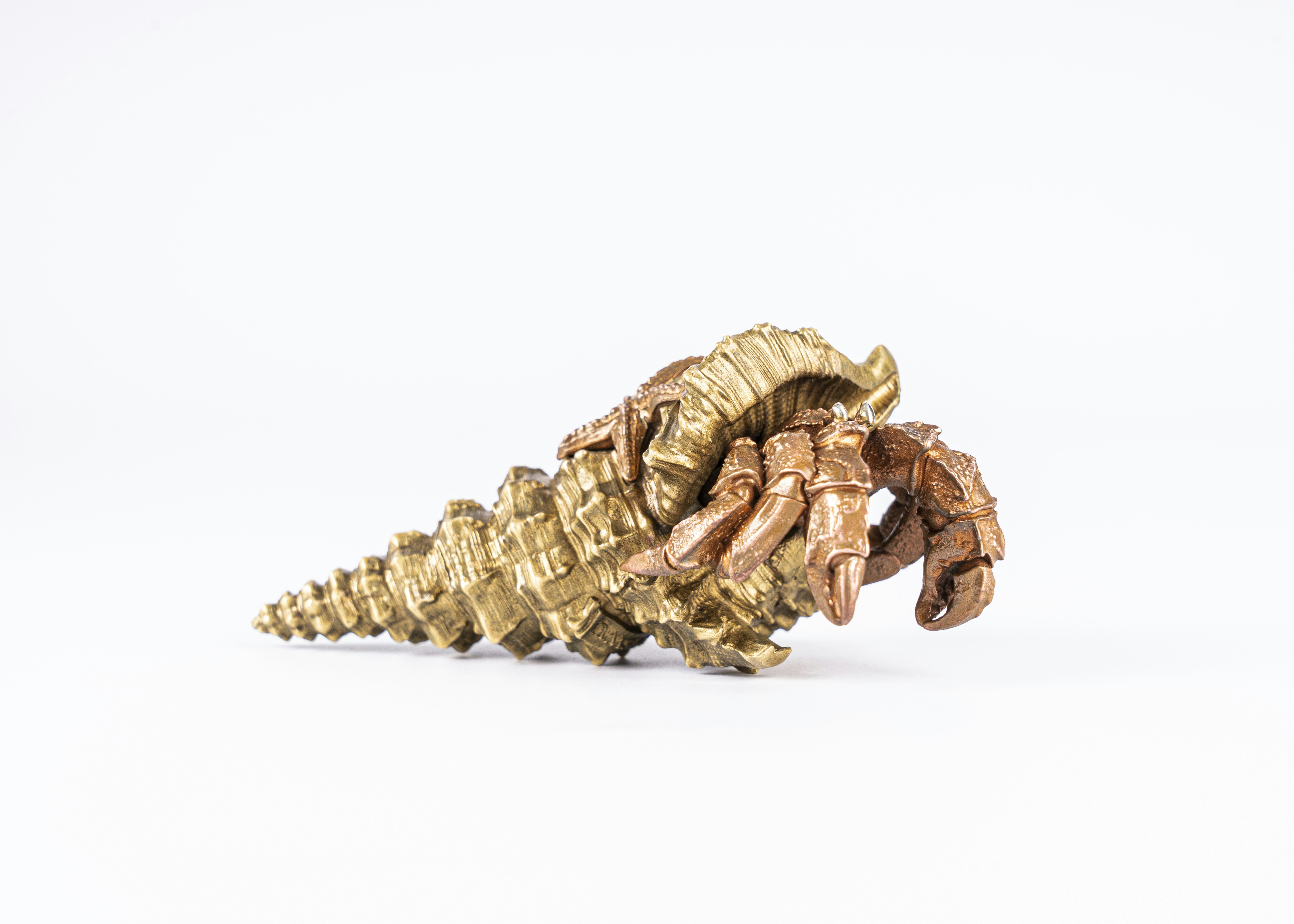 Photo by coppertistwu