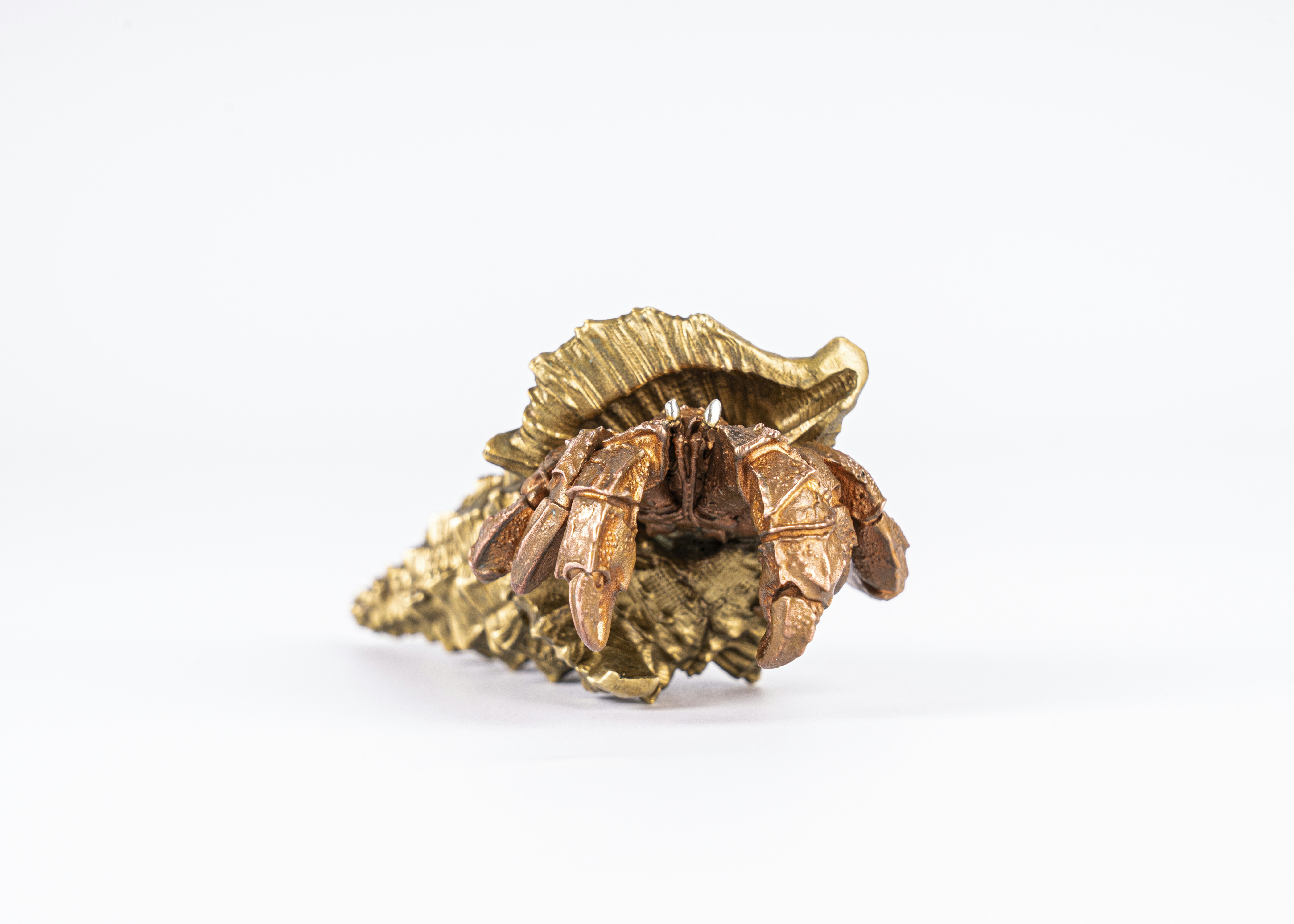 Photo by coppertistwu