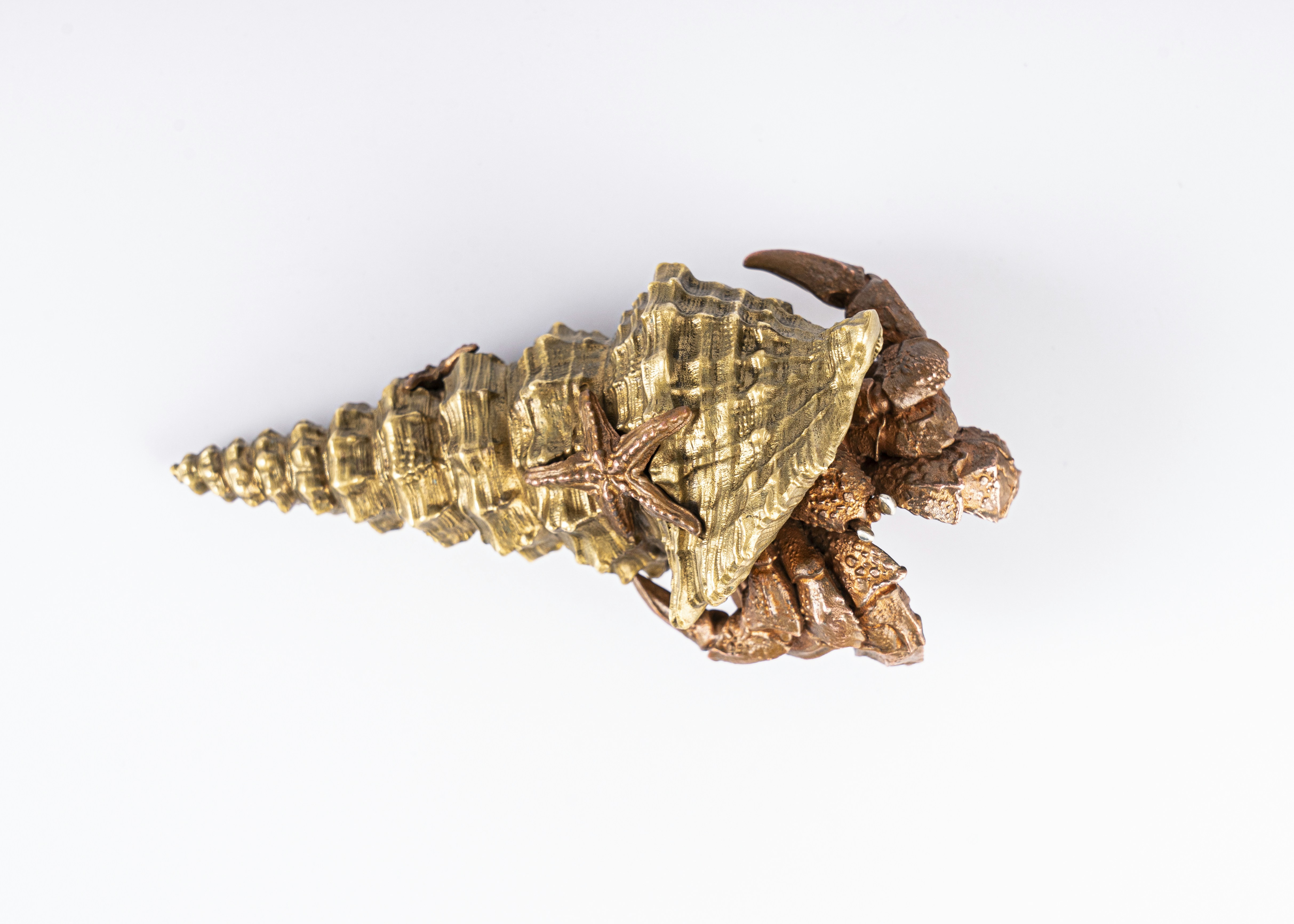 Photo by coppertistwu