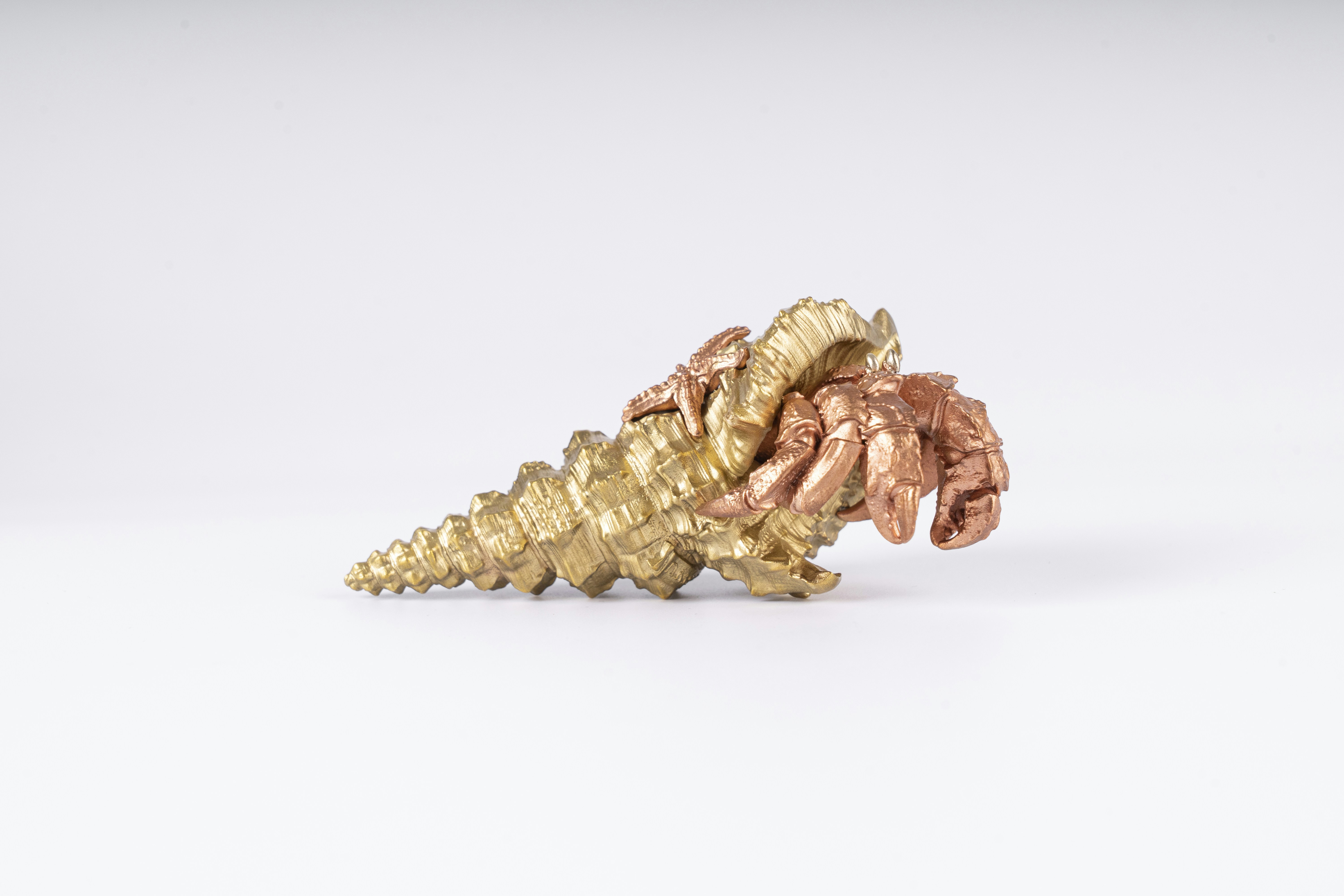 Photo by coppertistwu