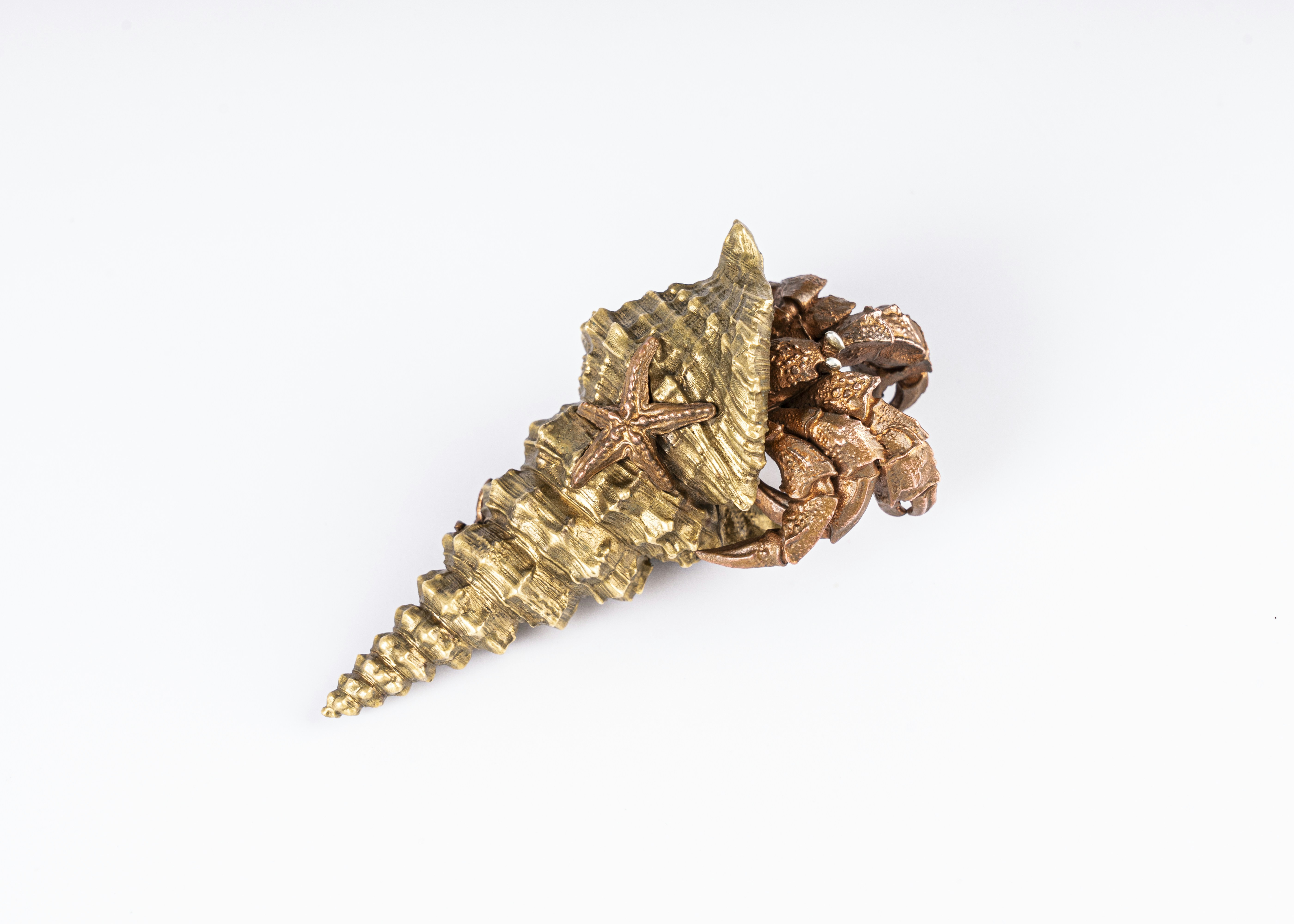 Photo by coppertistwu