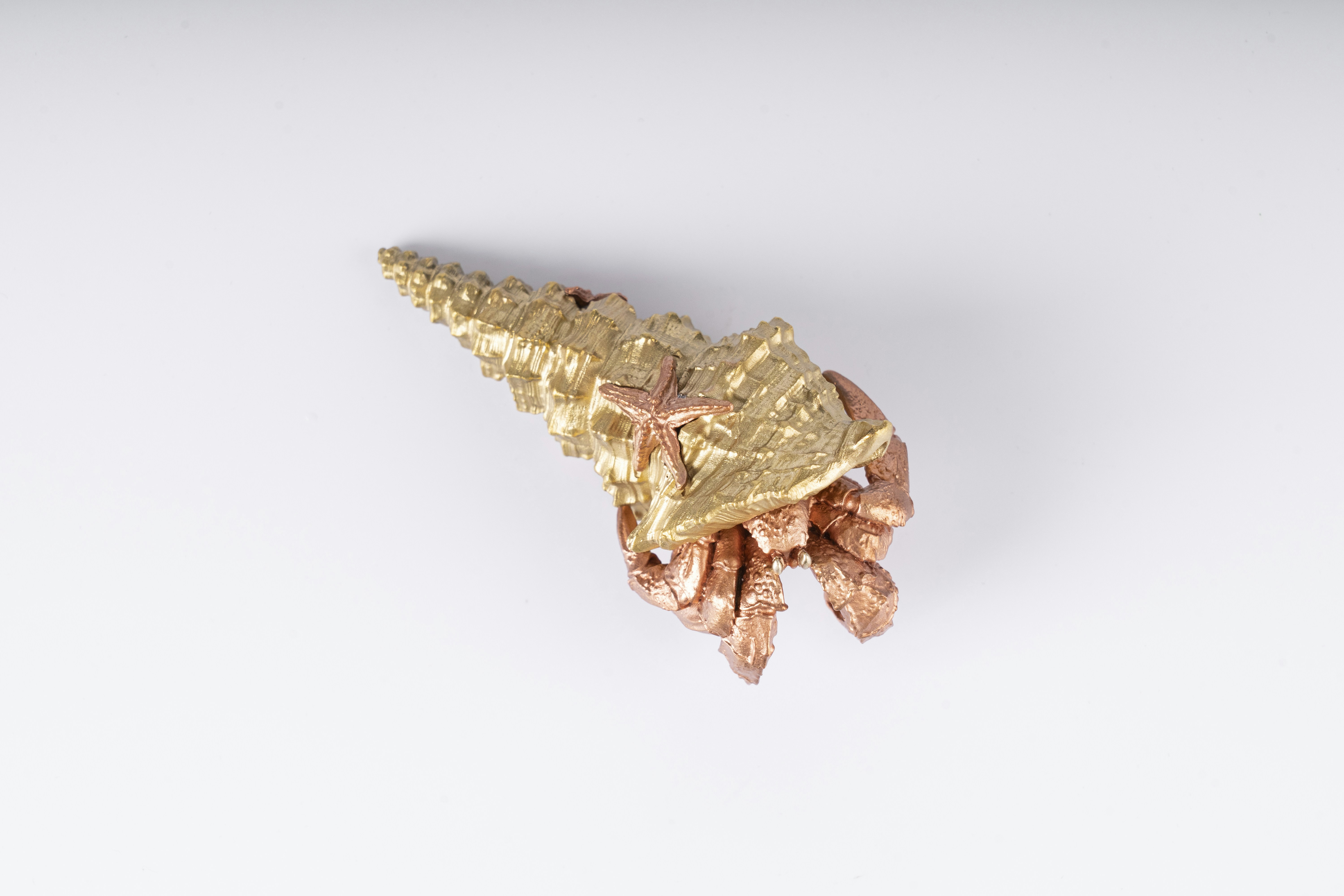 Photo by coppertistwu