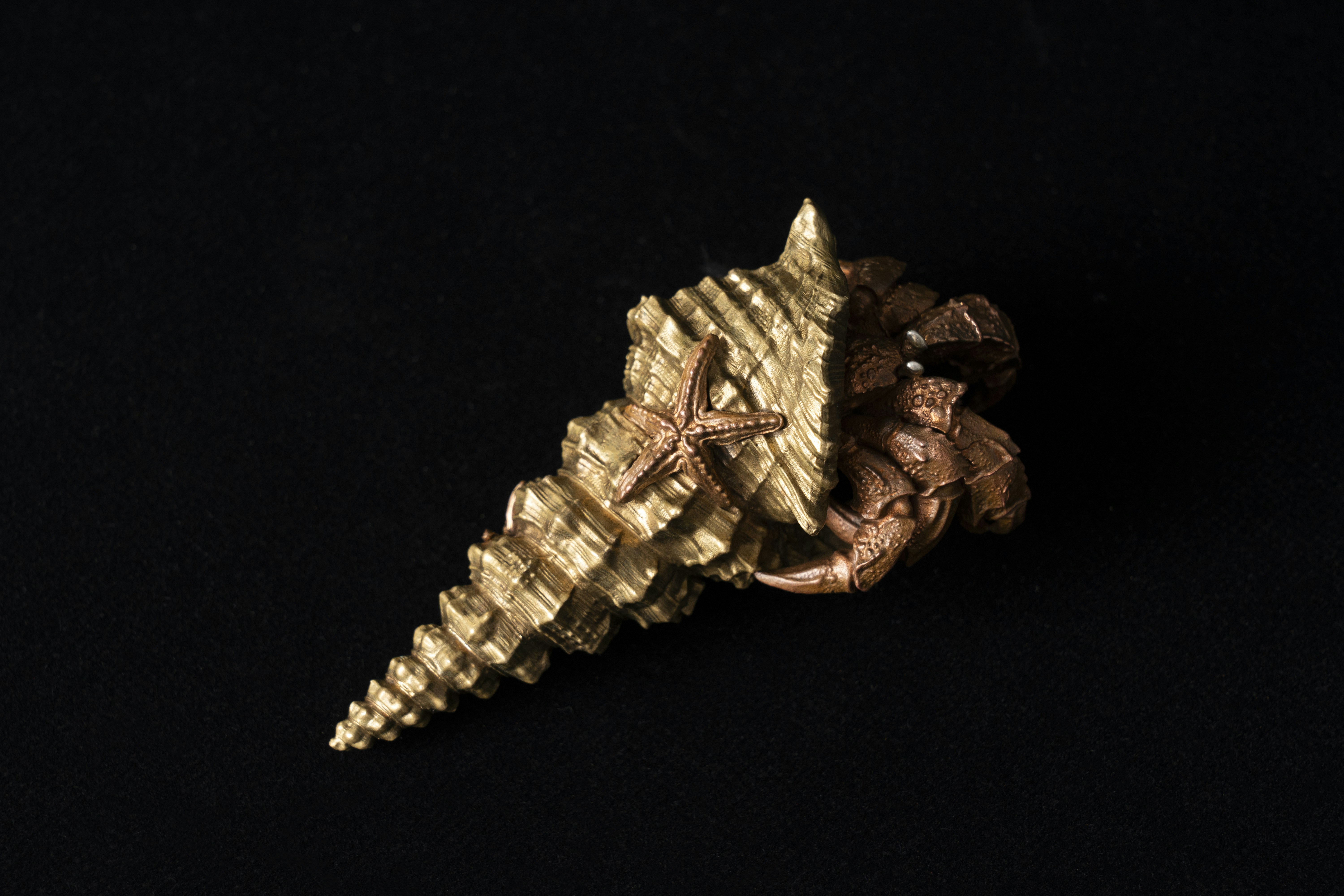 Photo by coppertistwu