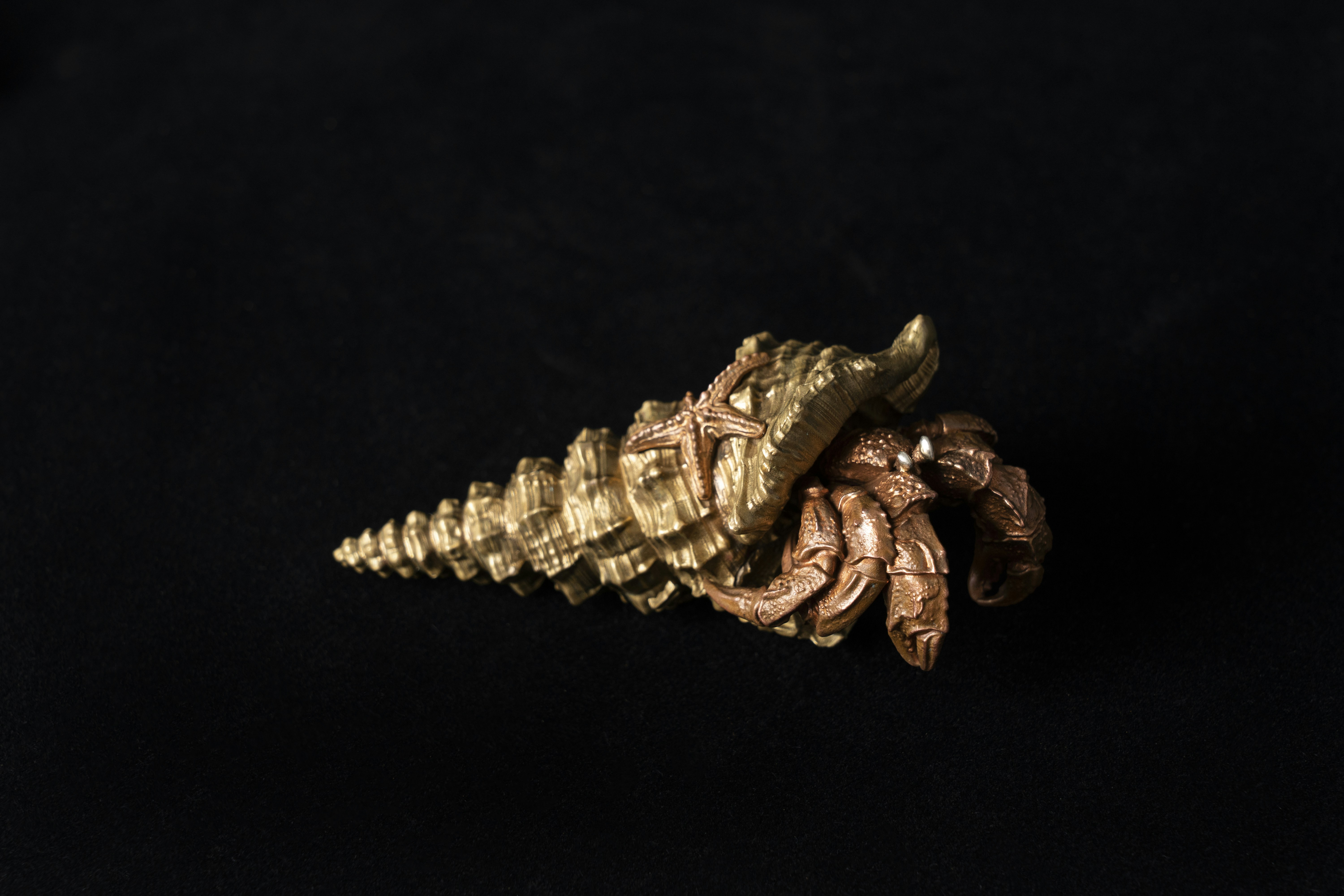 Photo by coppertistwu