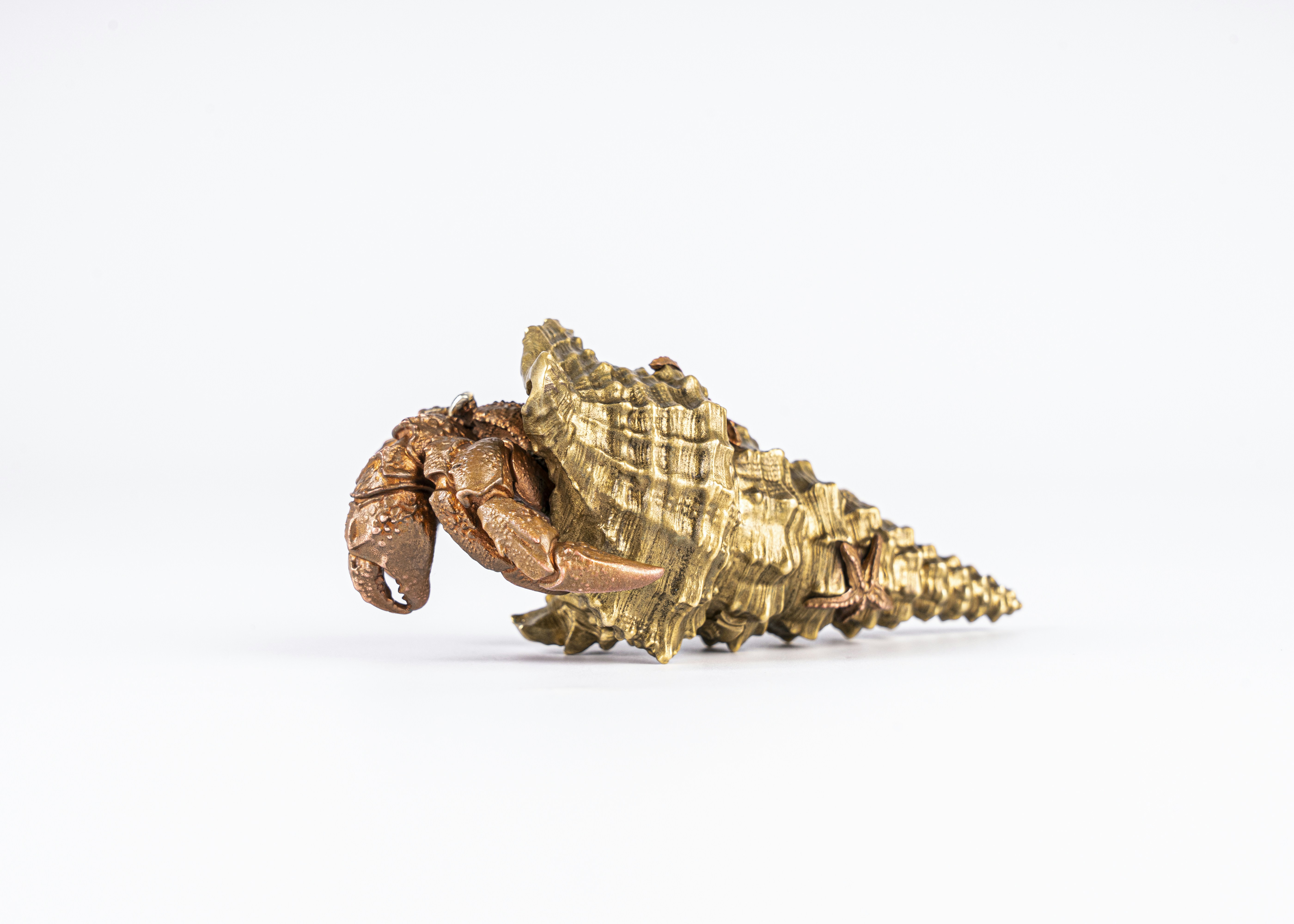 Photo by coppertistwu