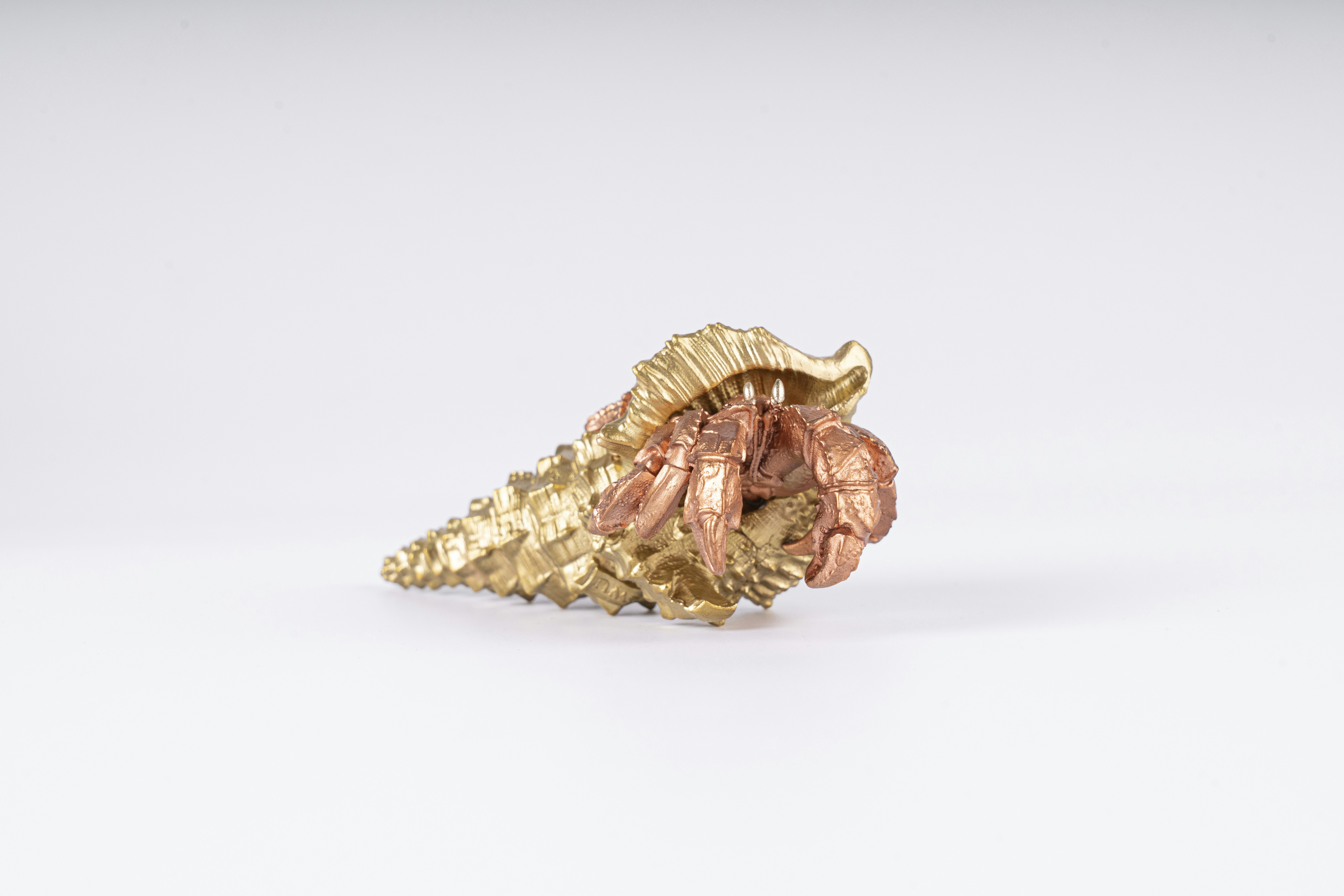 Photo by coppertistwu