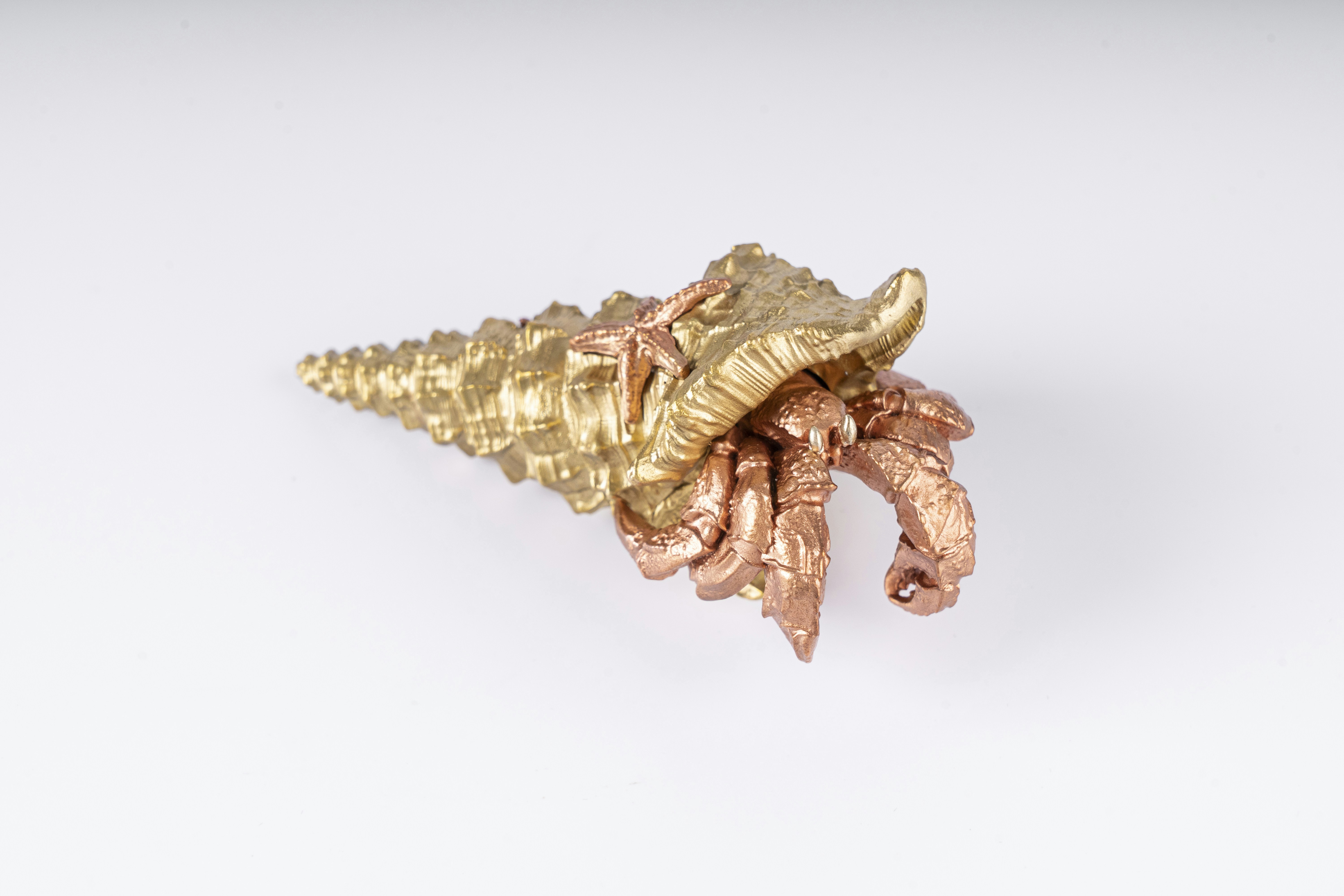 Photo by coppertistwu