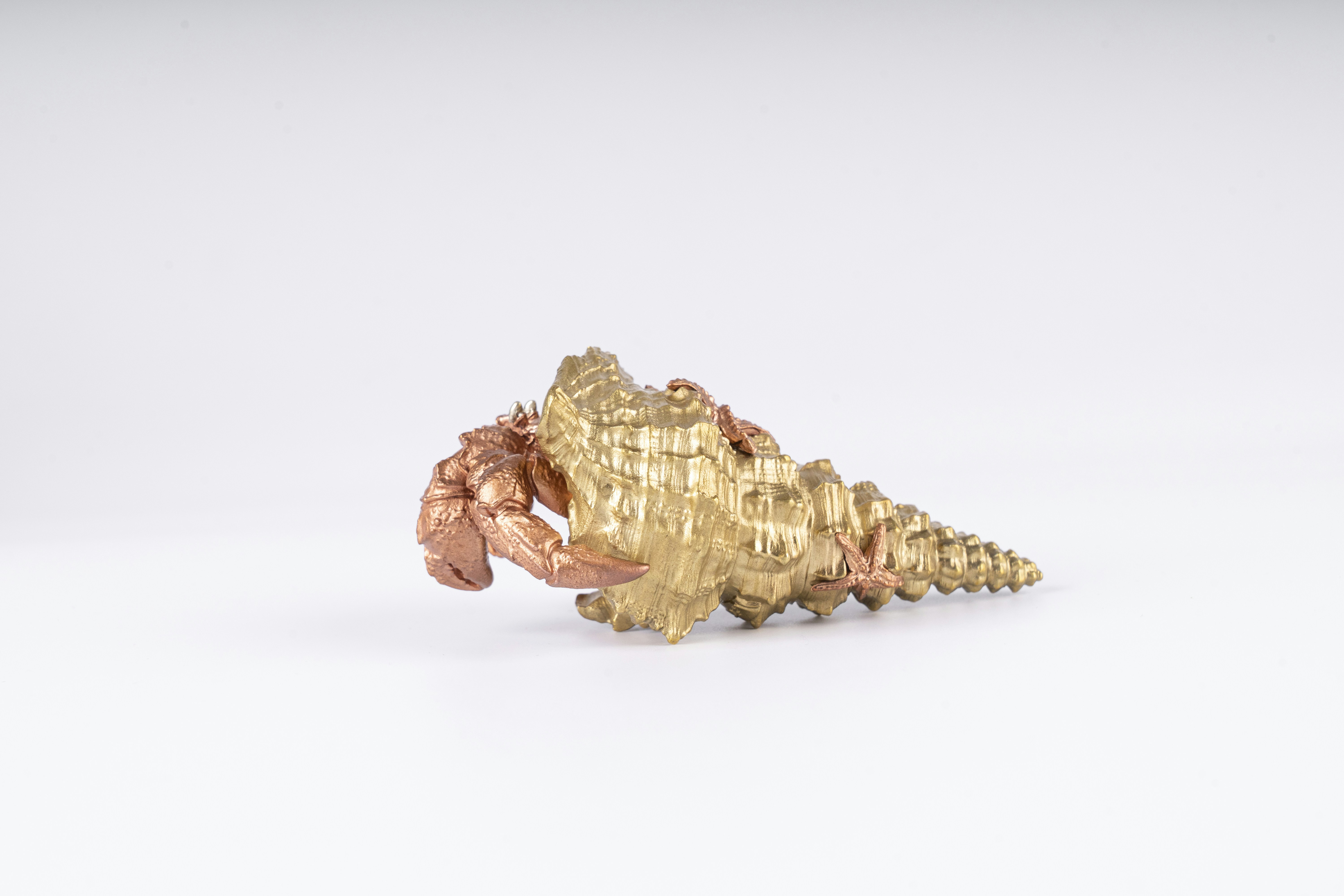 Photo by coppertistwu