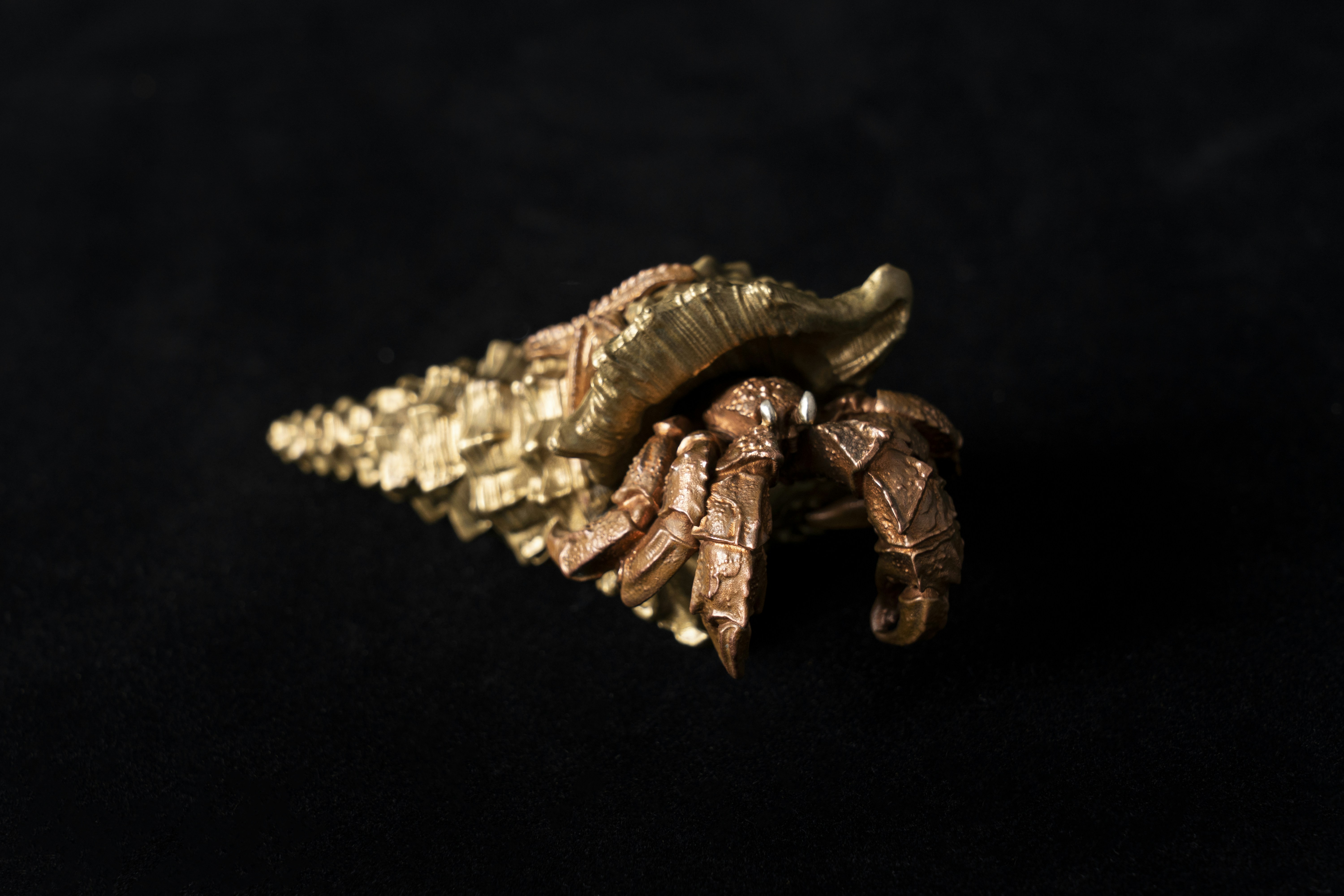 Photo by coppertistwu