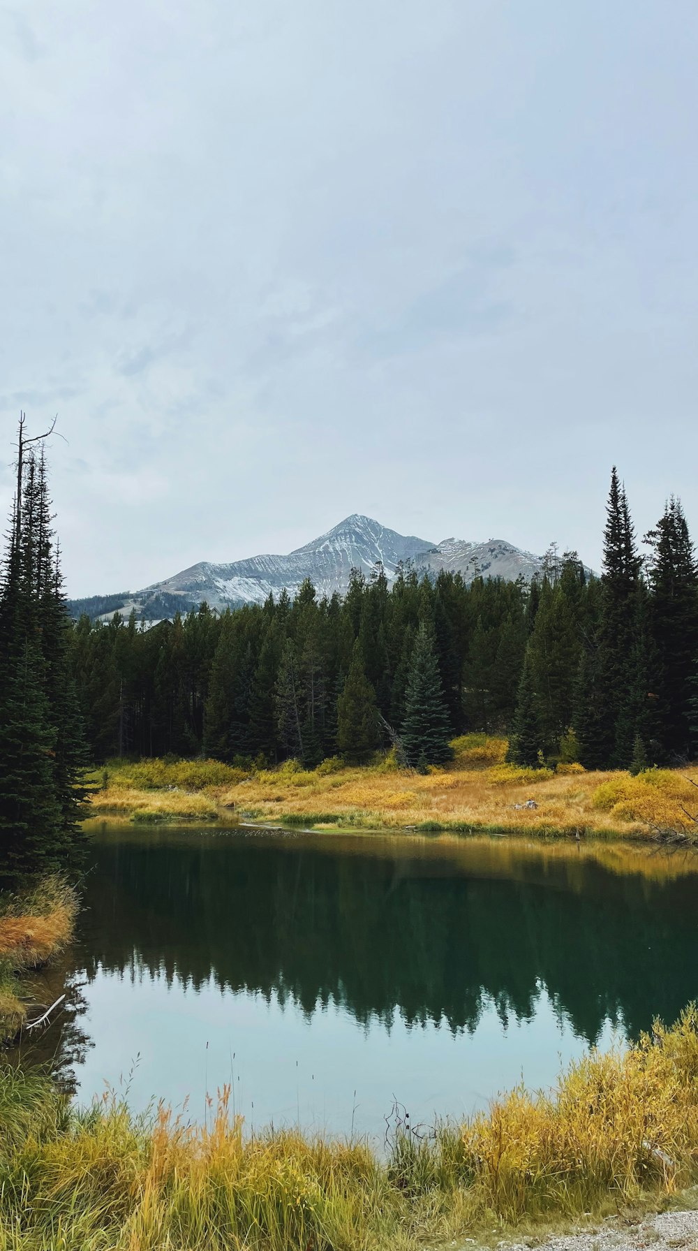 a lake surrounded by trees with a mountain in the background