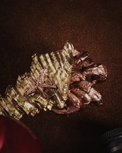 Decorative elements blending subtle beach motifs with professional design.