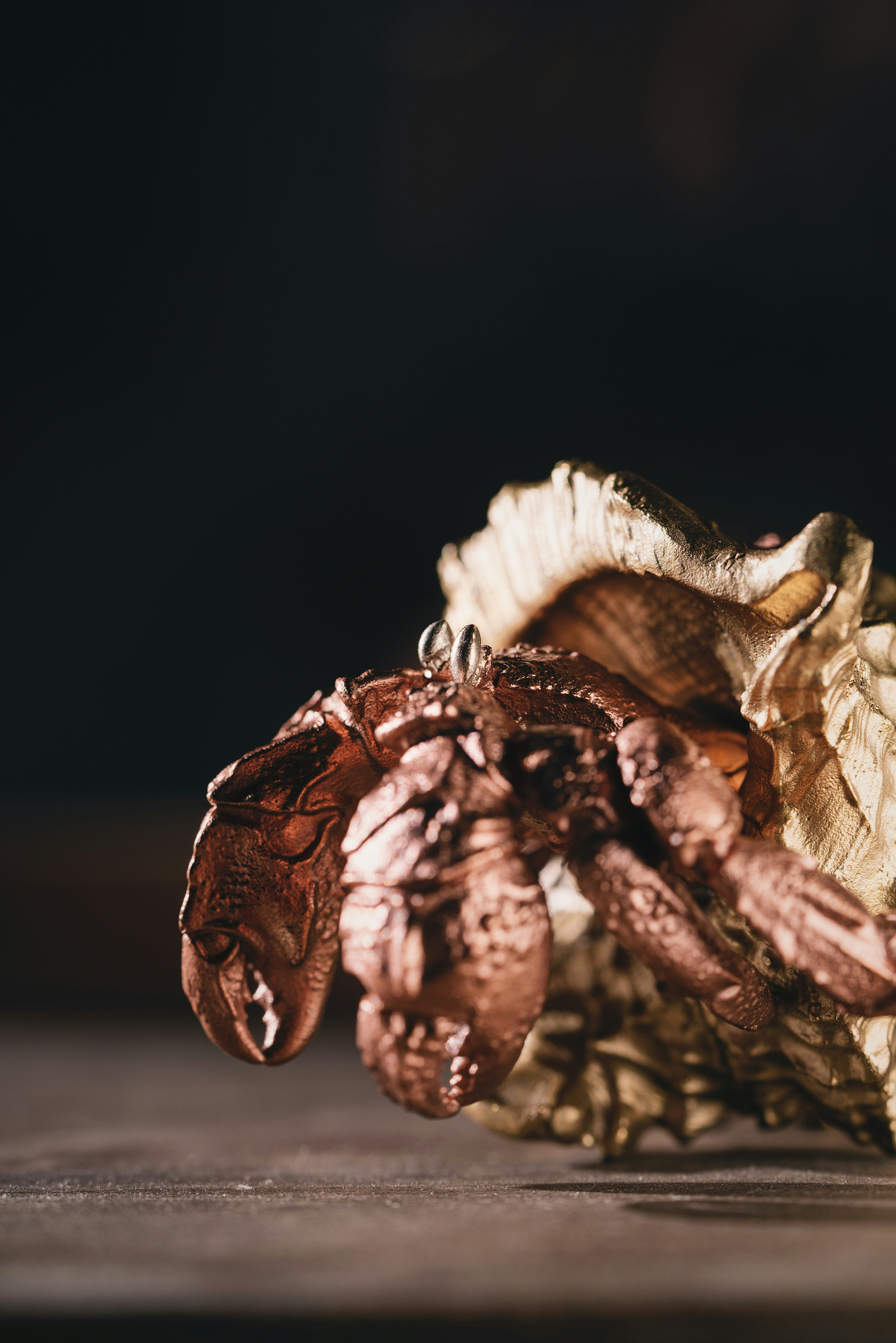 Photo by coppertistwu