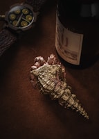 A detailed close-up composition featuring a luxurious watch with a textured leather strap, a dark wine bottle with a vintage label, and an ornate, metallic seashell adorned with a starfish on a rich brown surface.