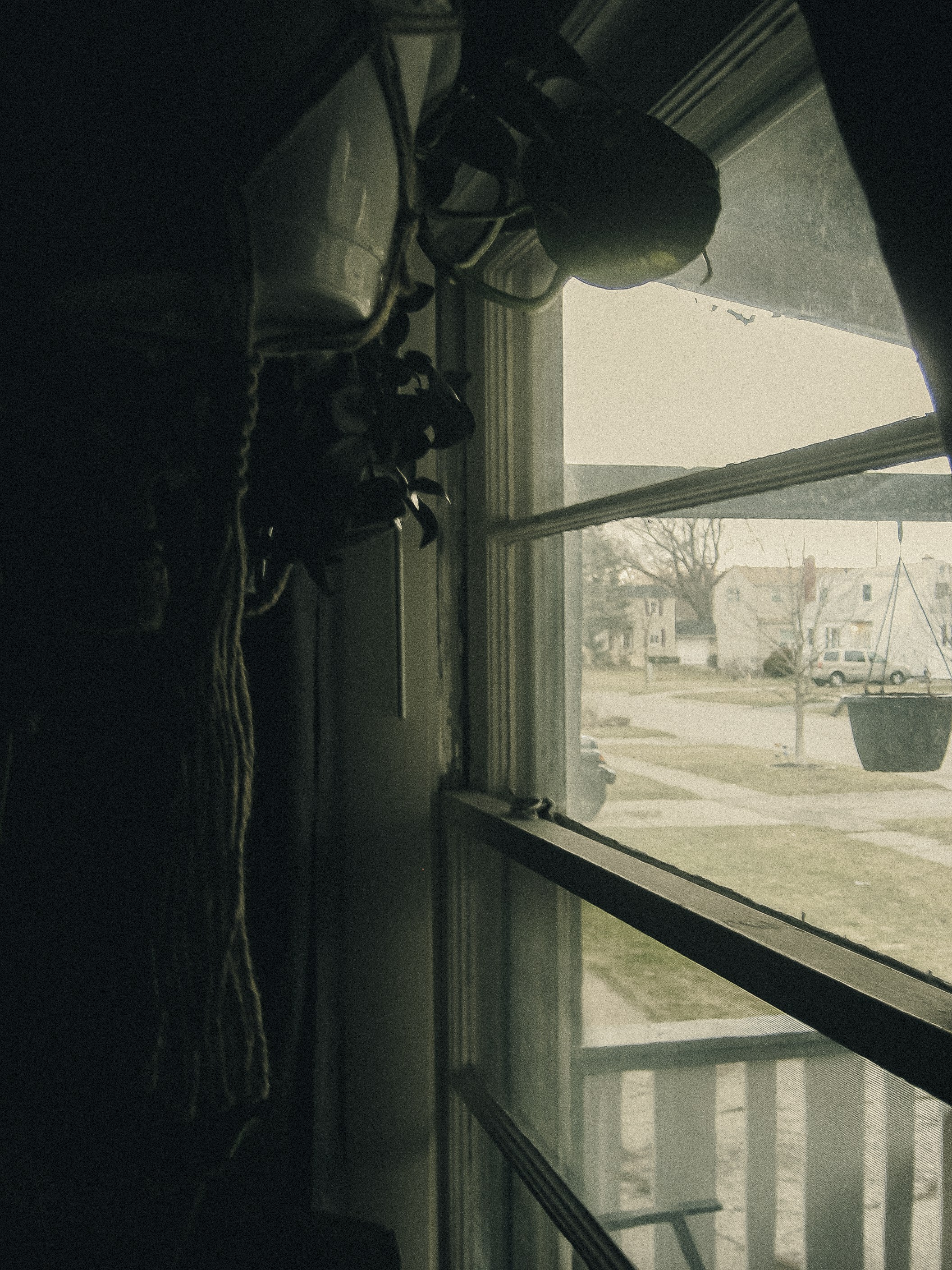 a view of a yard through a window