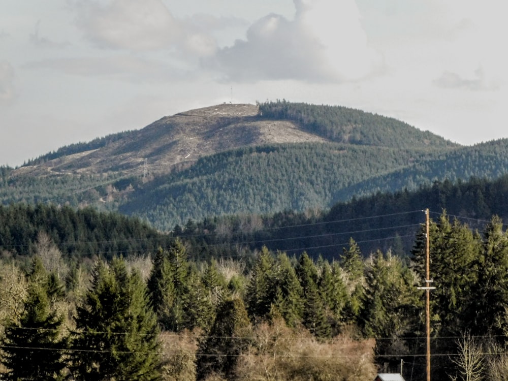 uma vista de uma montanha com árvores em primeiro plano