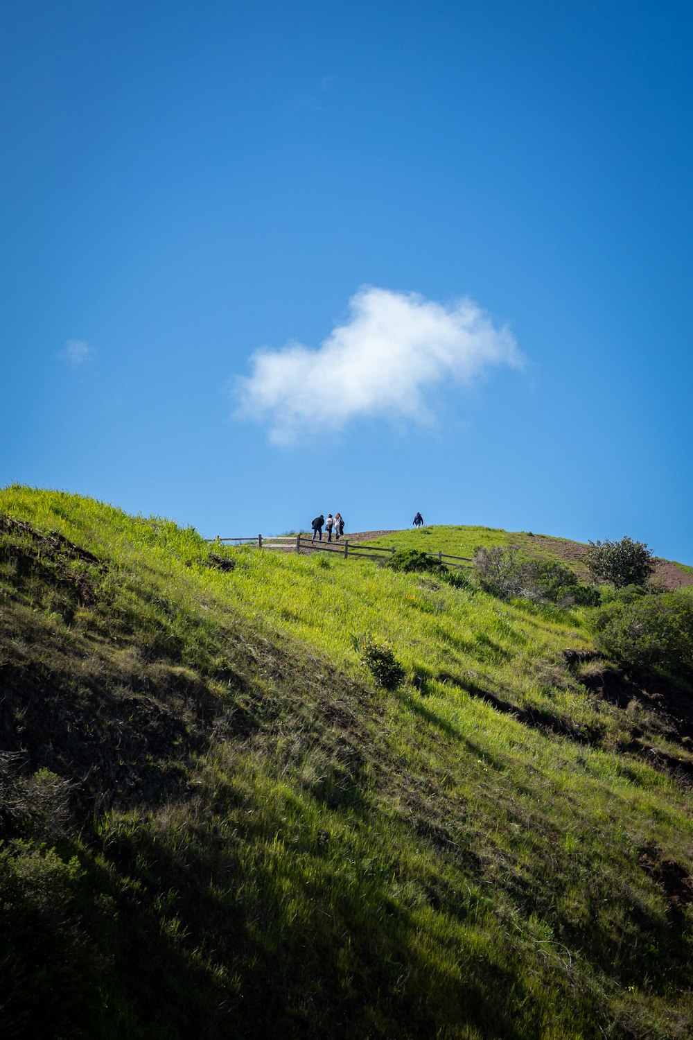 a group of people standing on top of a lush green hillside