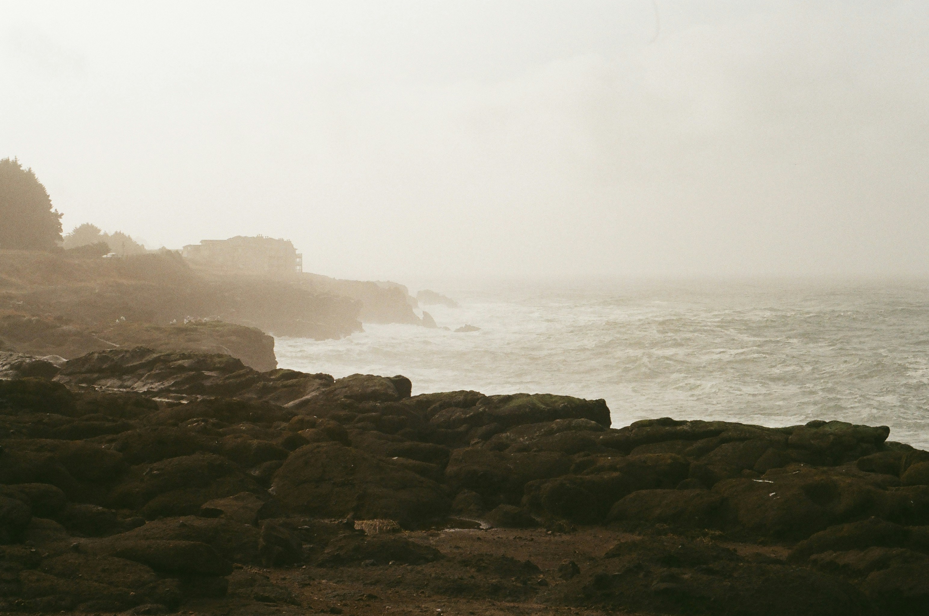 Photo by tatertacoma