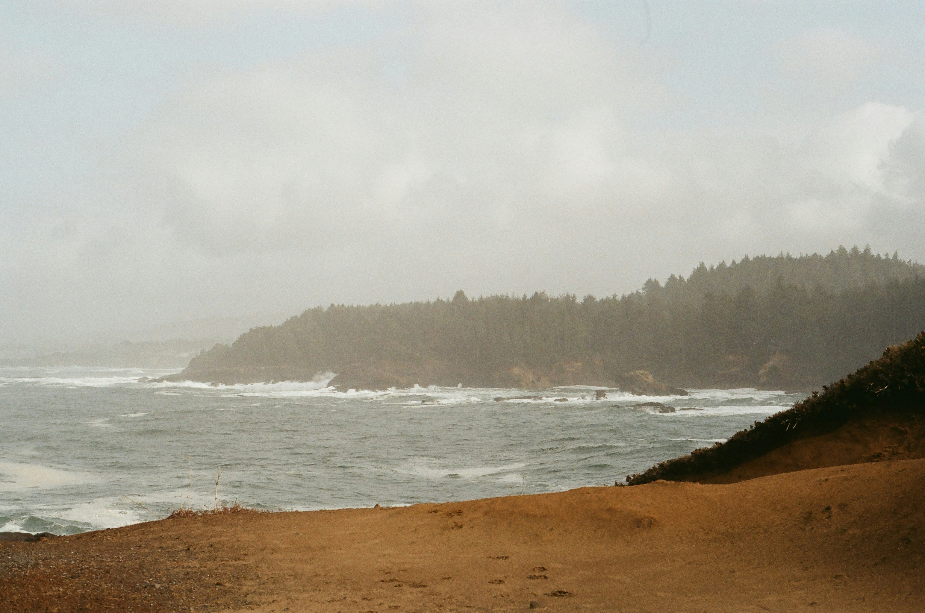 Photo by tatertacoma