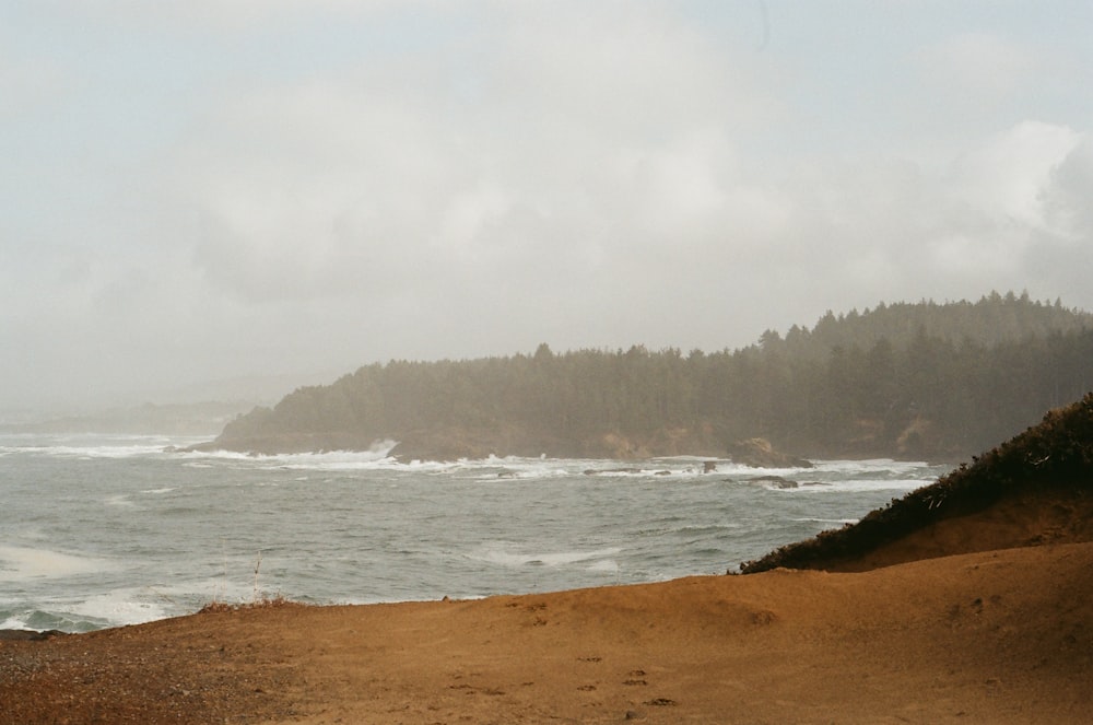 a view of a body of water with trees in the background