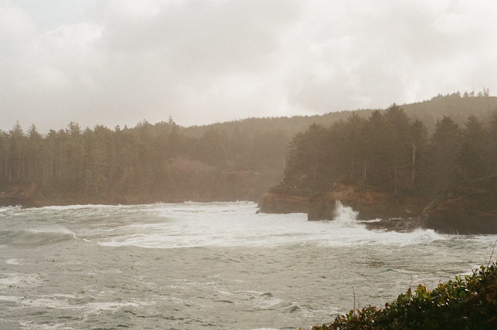 a large body of water surrounded by trees