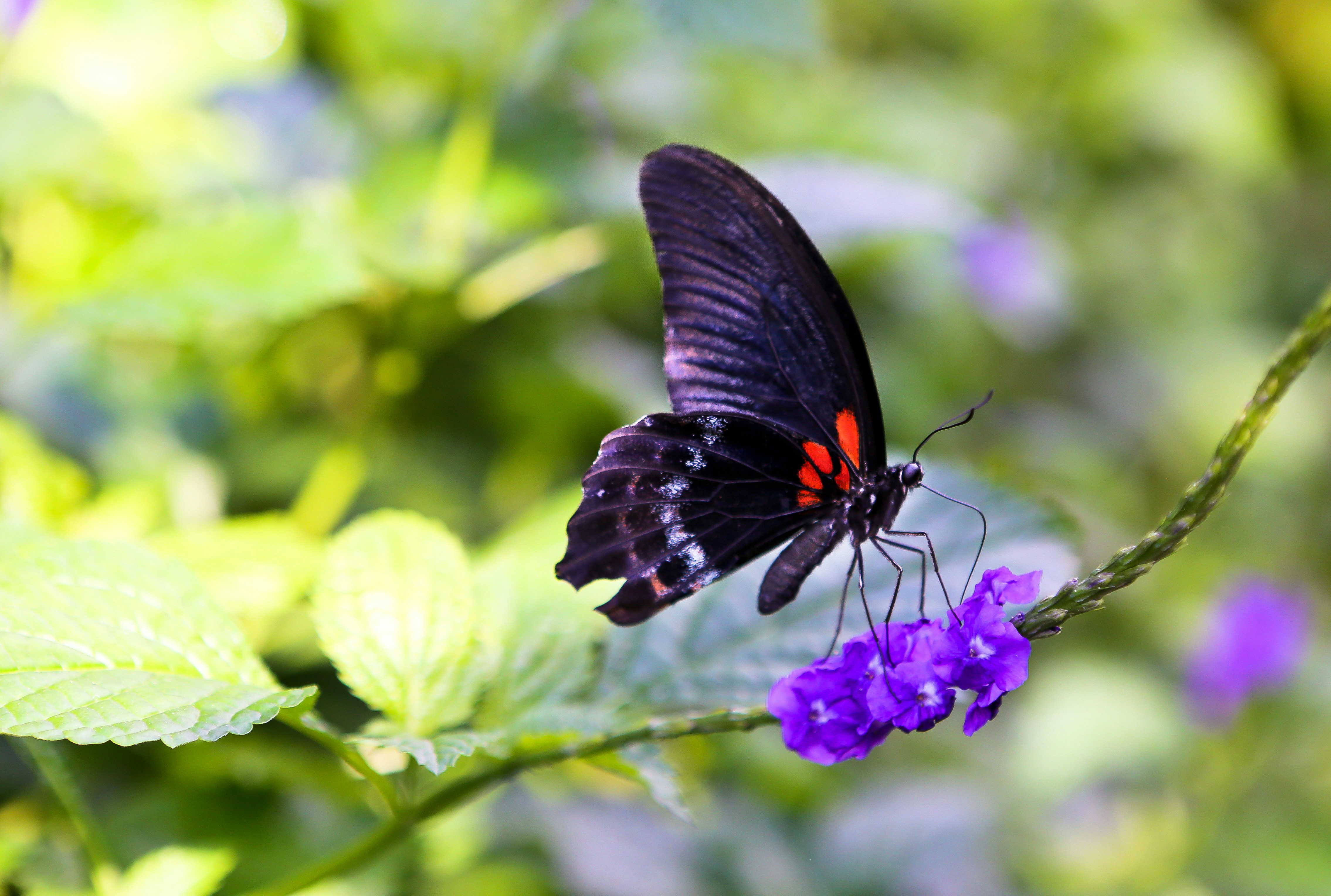 Photo by terry885908