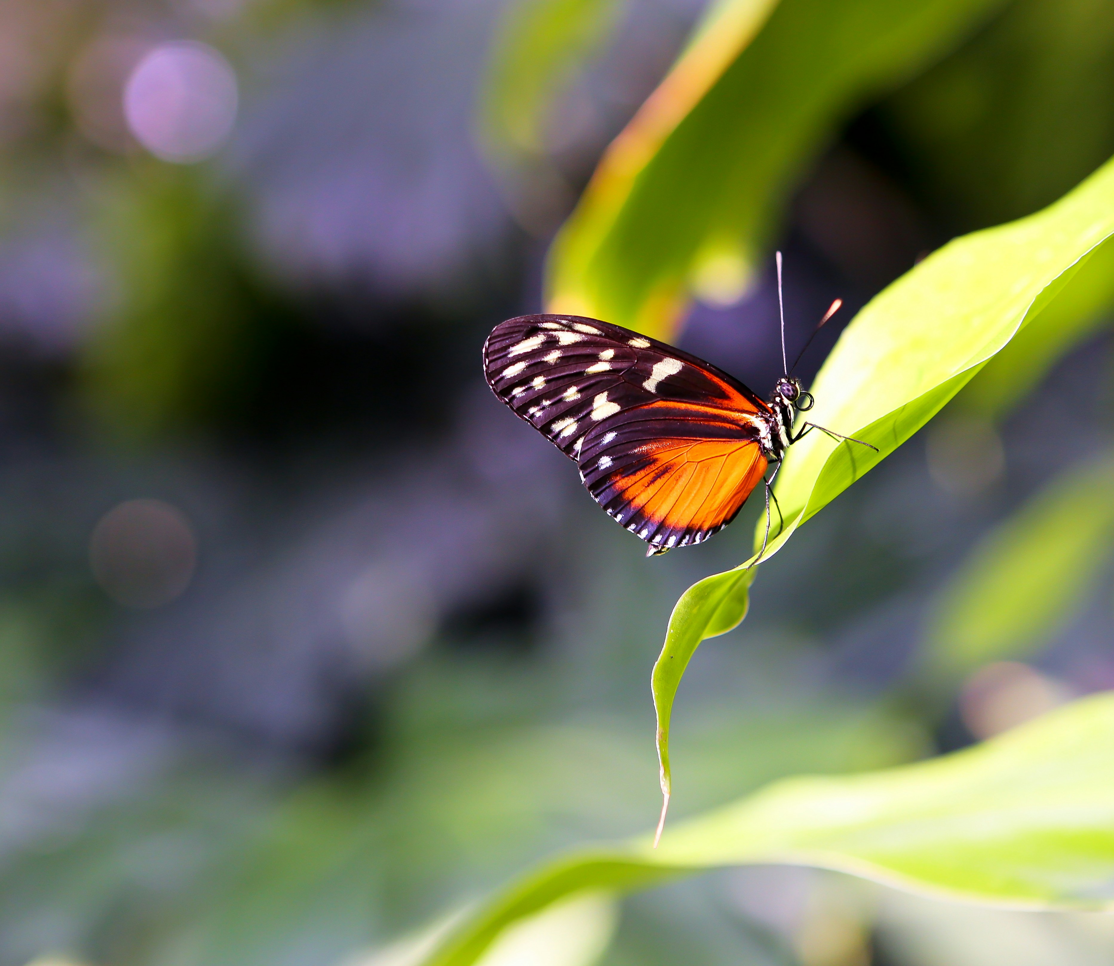 Photo by terry885908