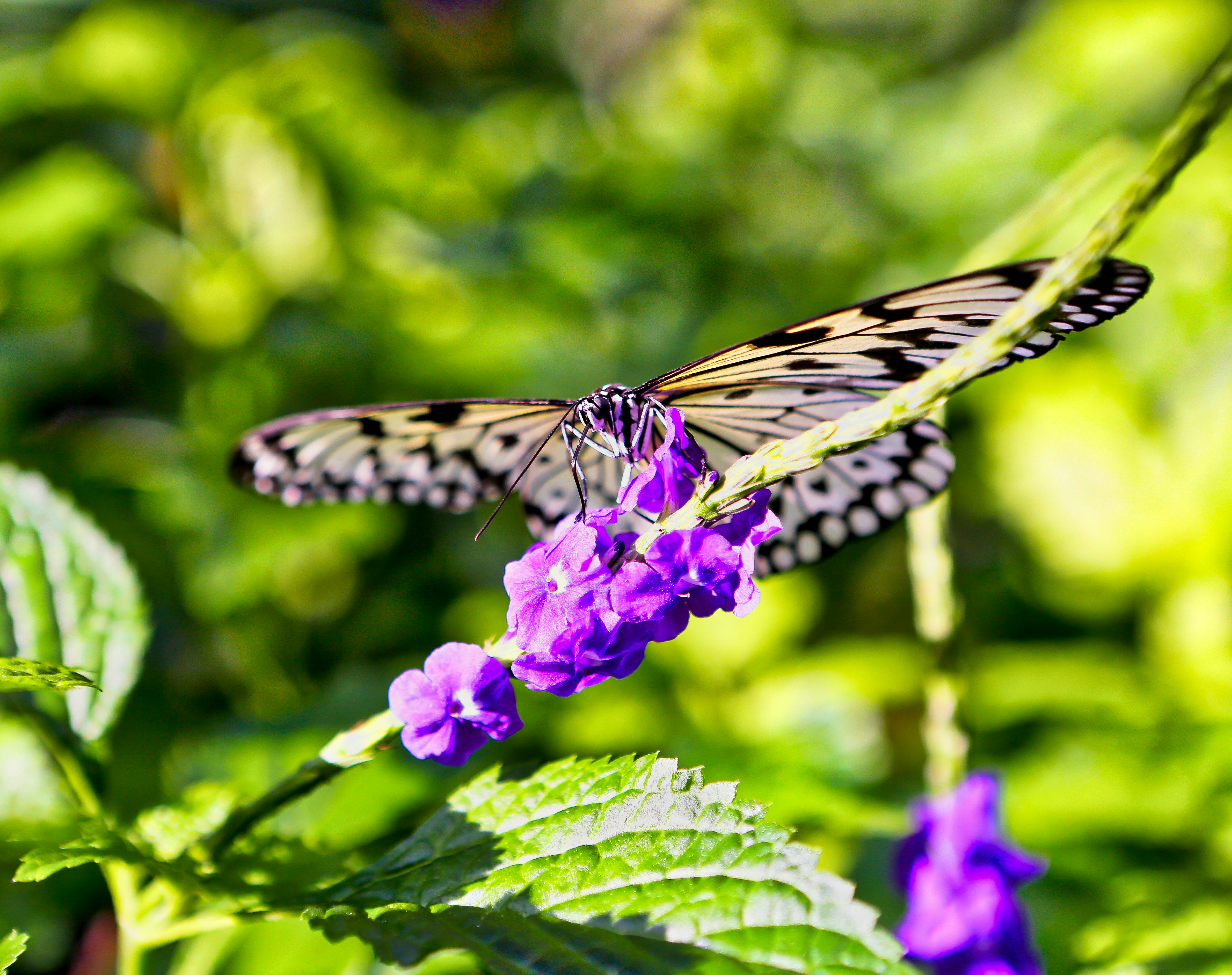 Photo by terry885908