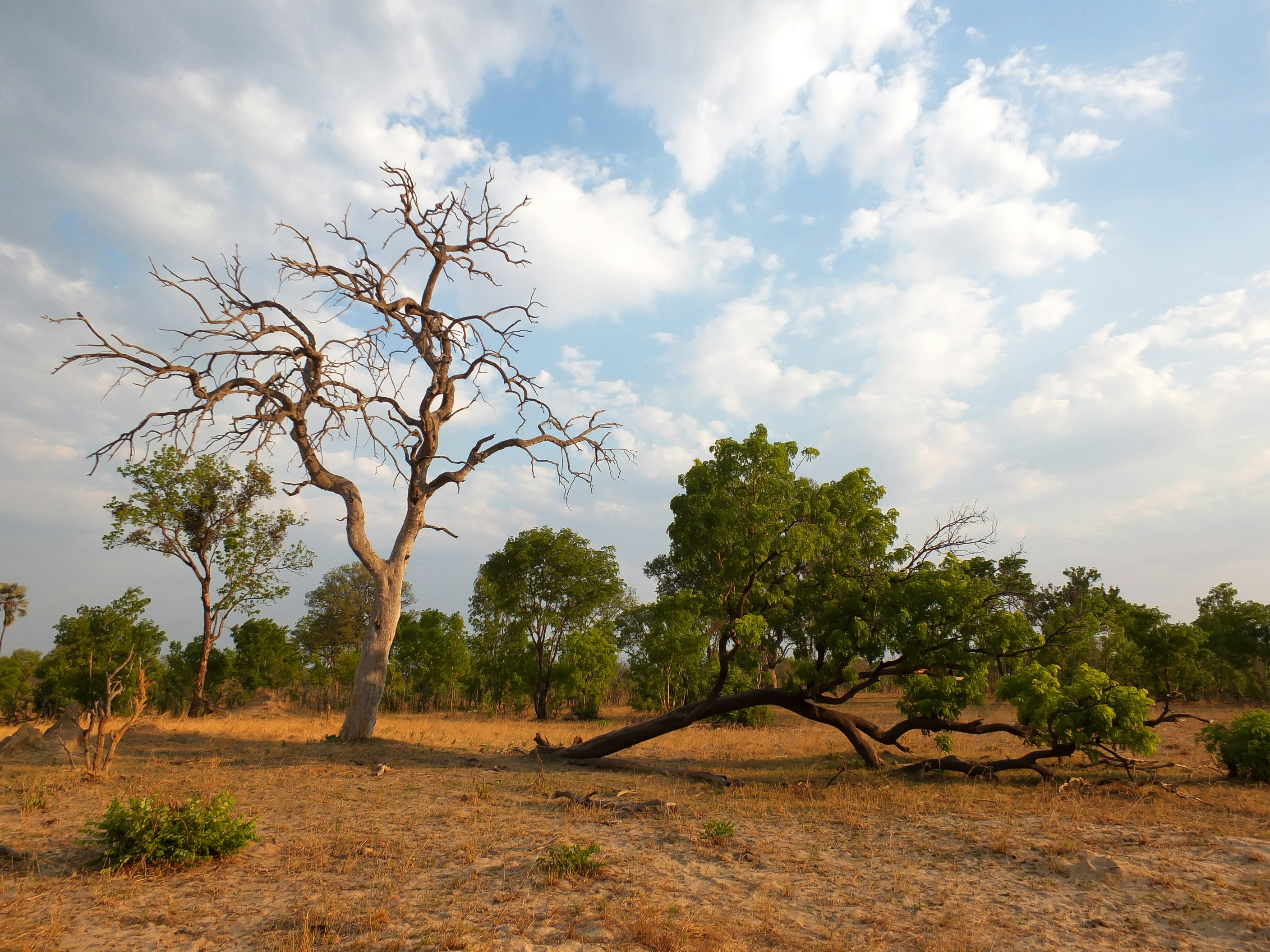 Photo by terry885908