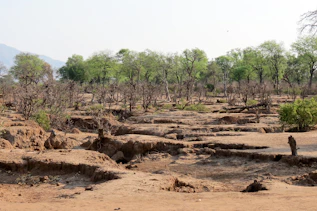a man standing in the middle of a dirt field