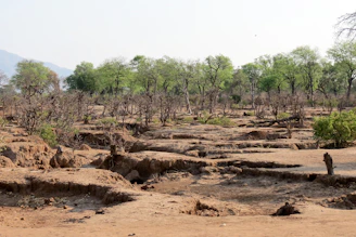 a man standing in the middle of a dirt field