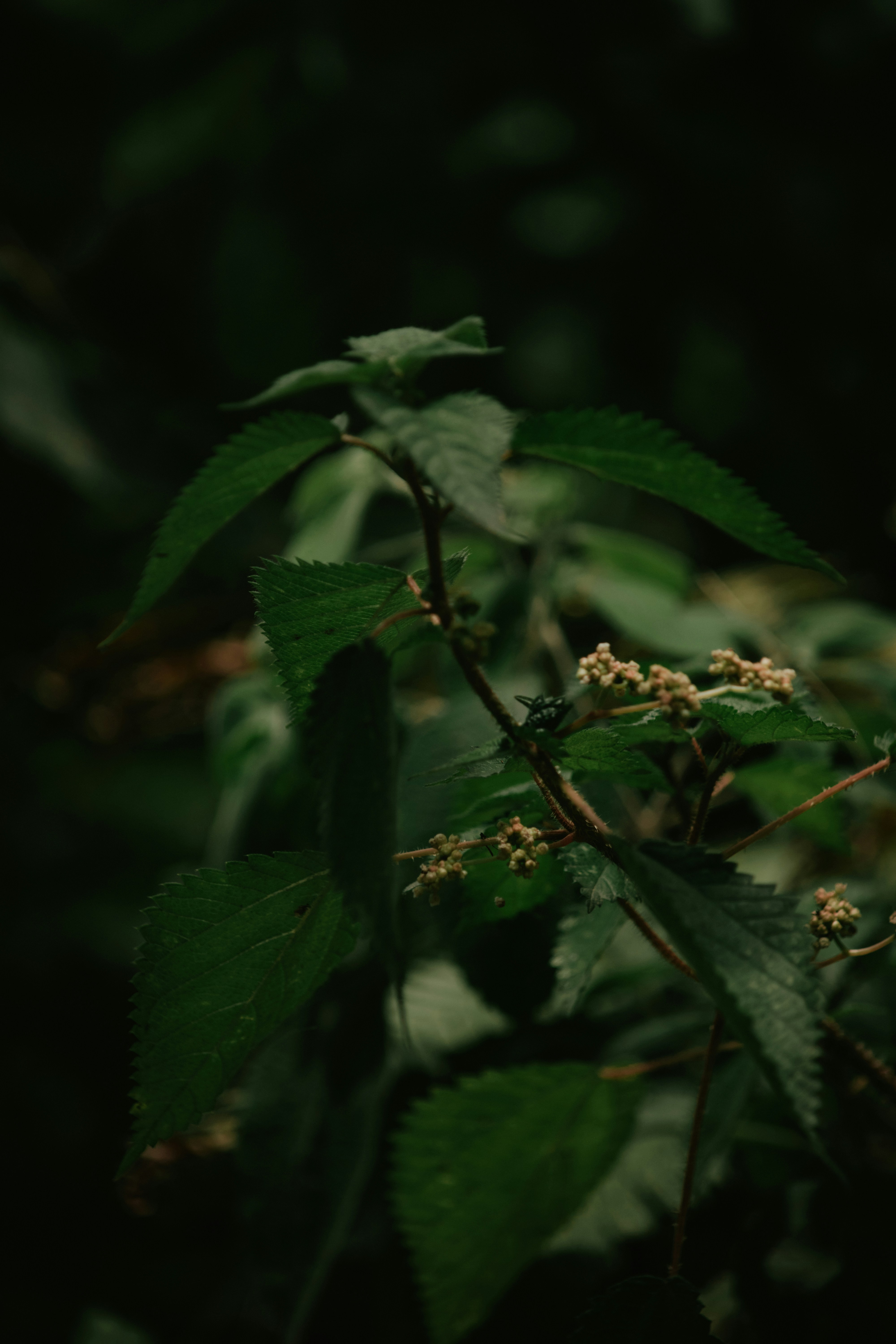 Photo by utunzajiwamazingira