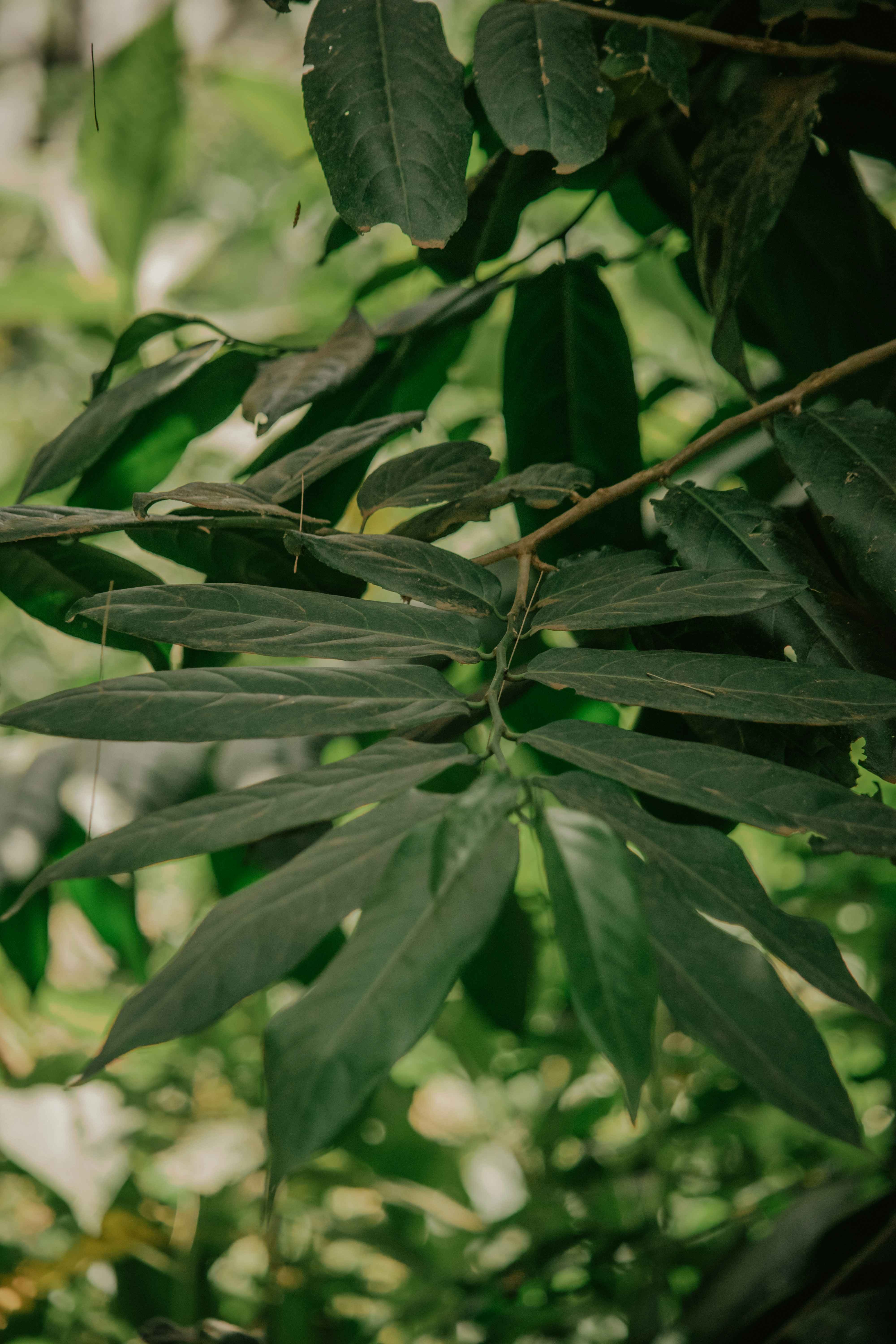 Photo by utunzajiwamazingira