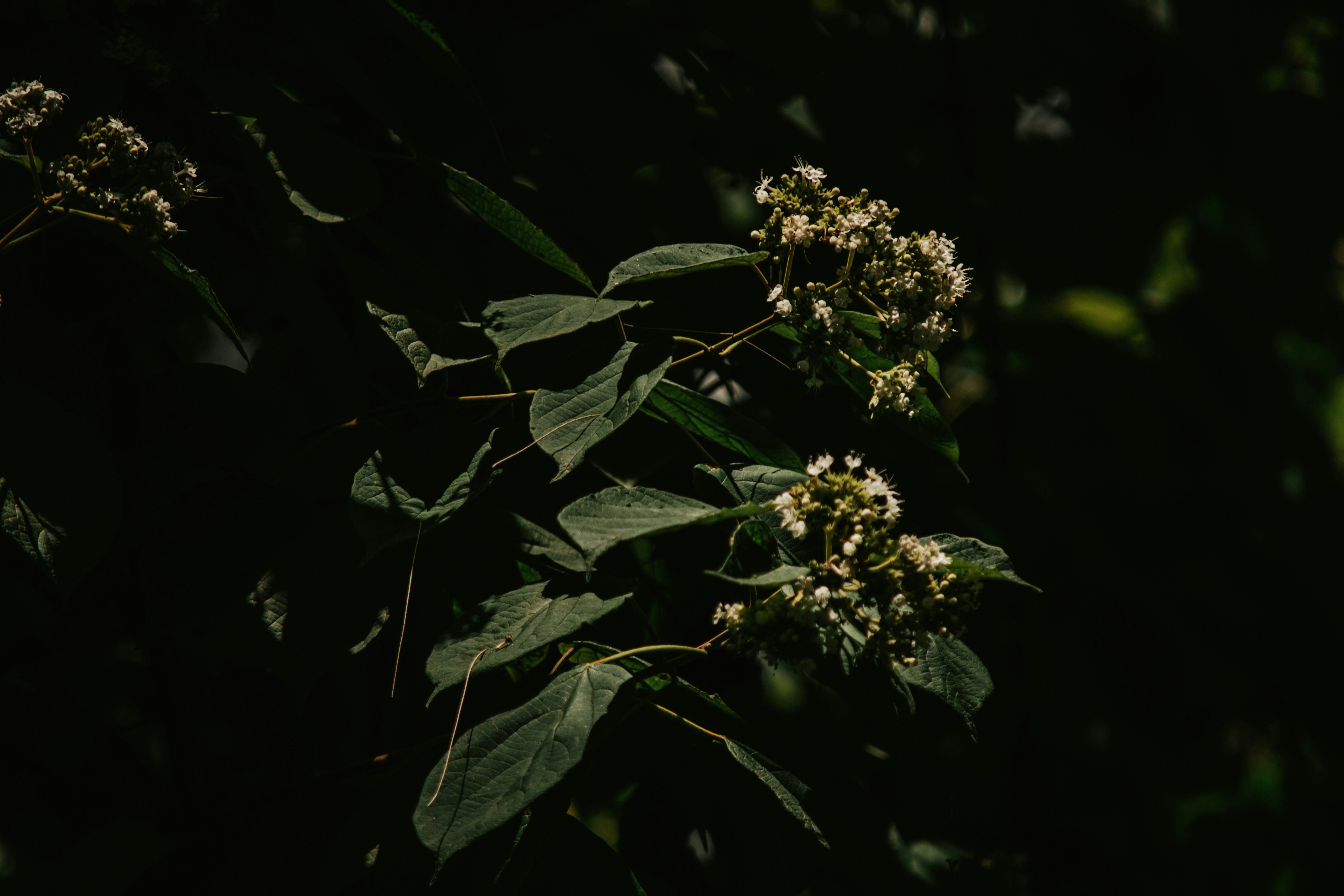 Photo by utunzajiwamazingira