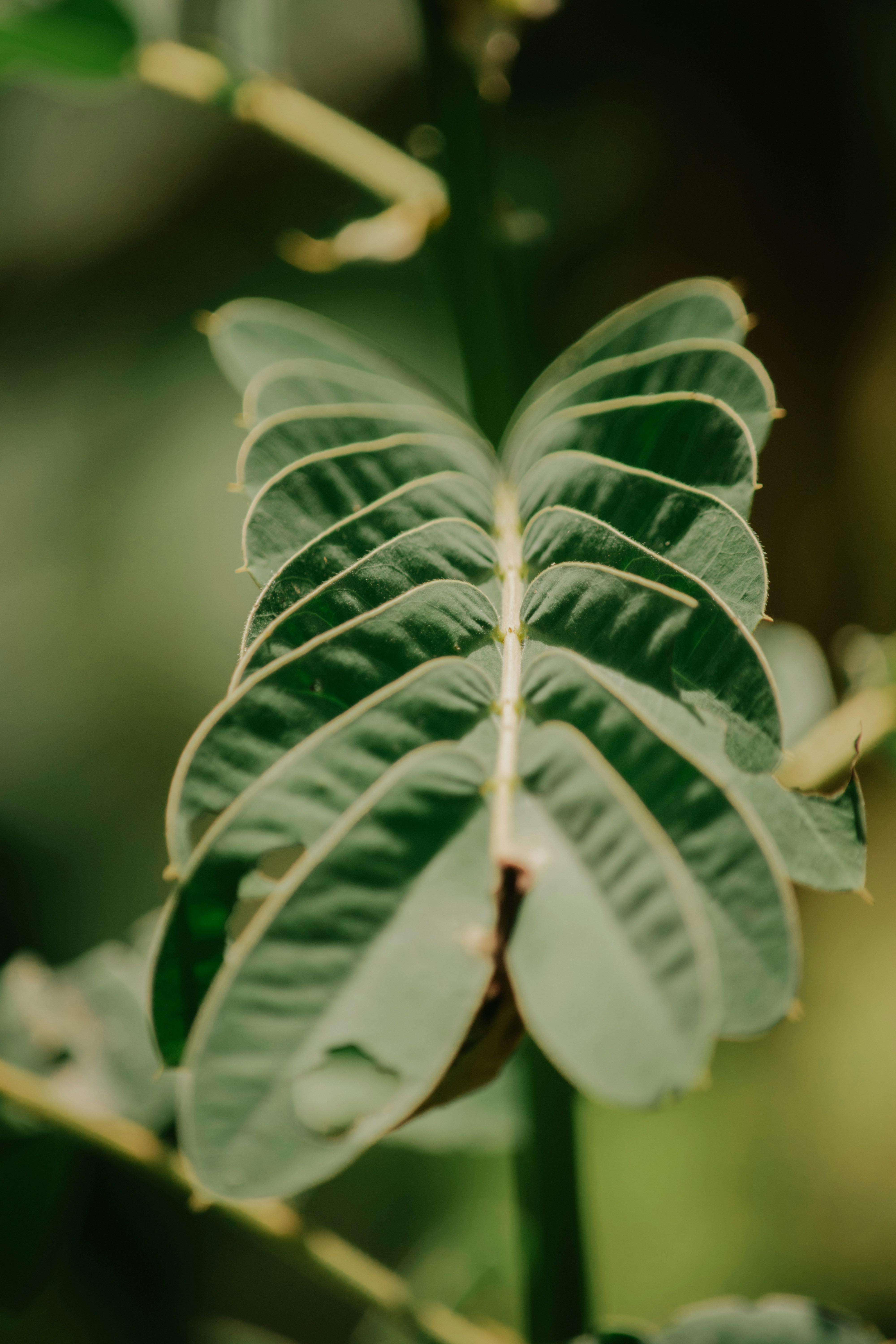 Photo by utunzajiwamazingira