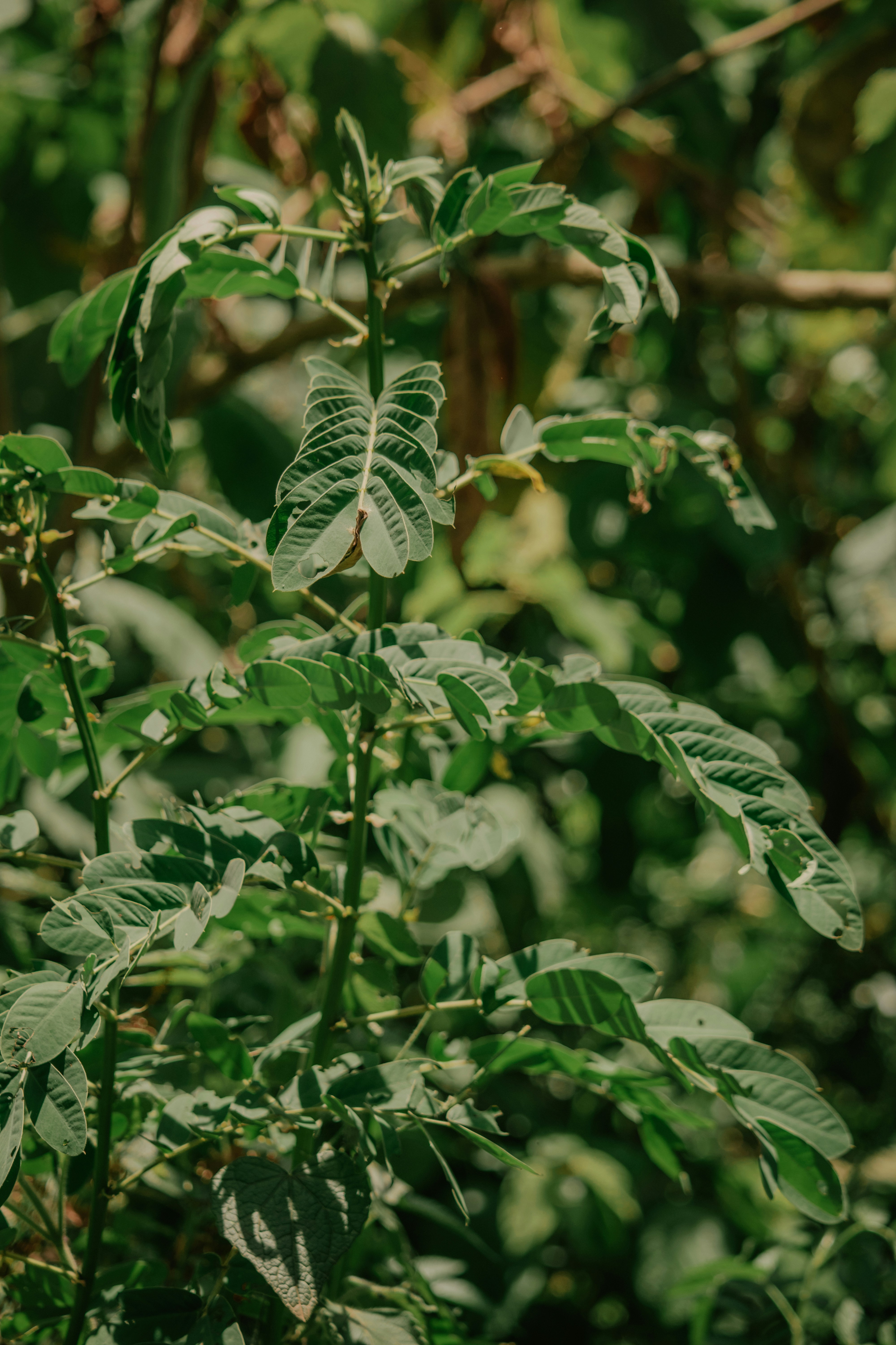 Photo by utunzajiwamazingira