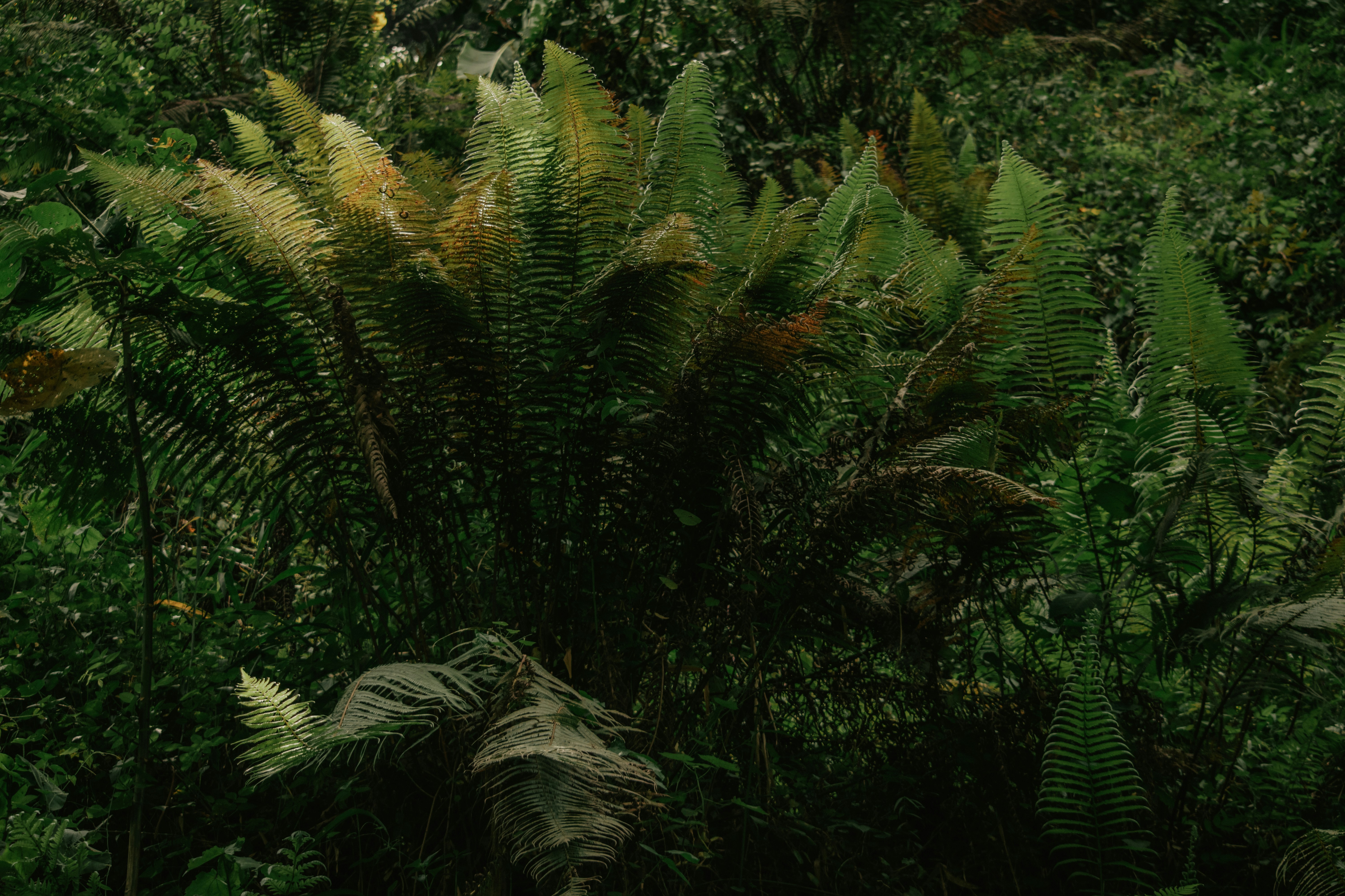 Photo by utunzajiwamazingira