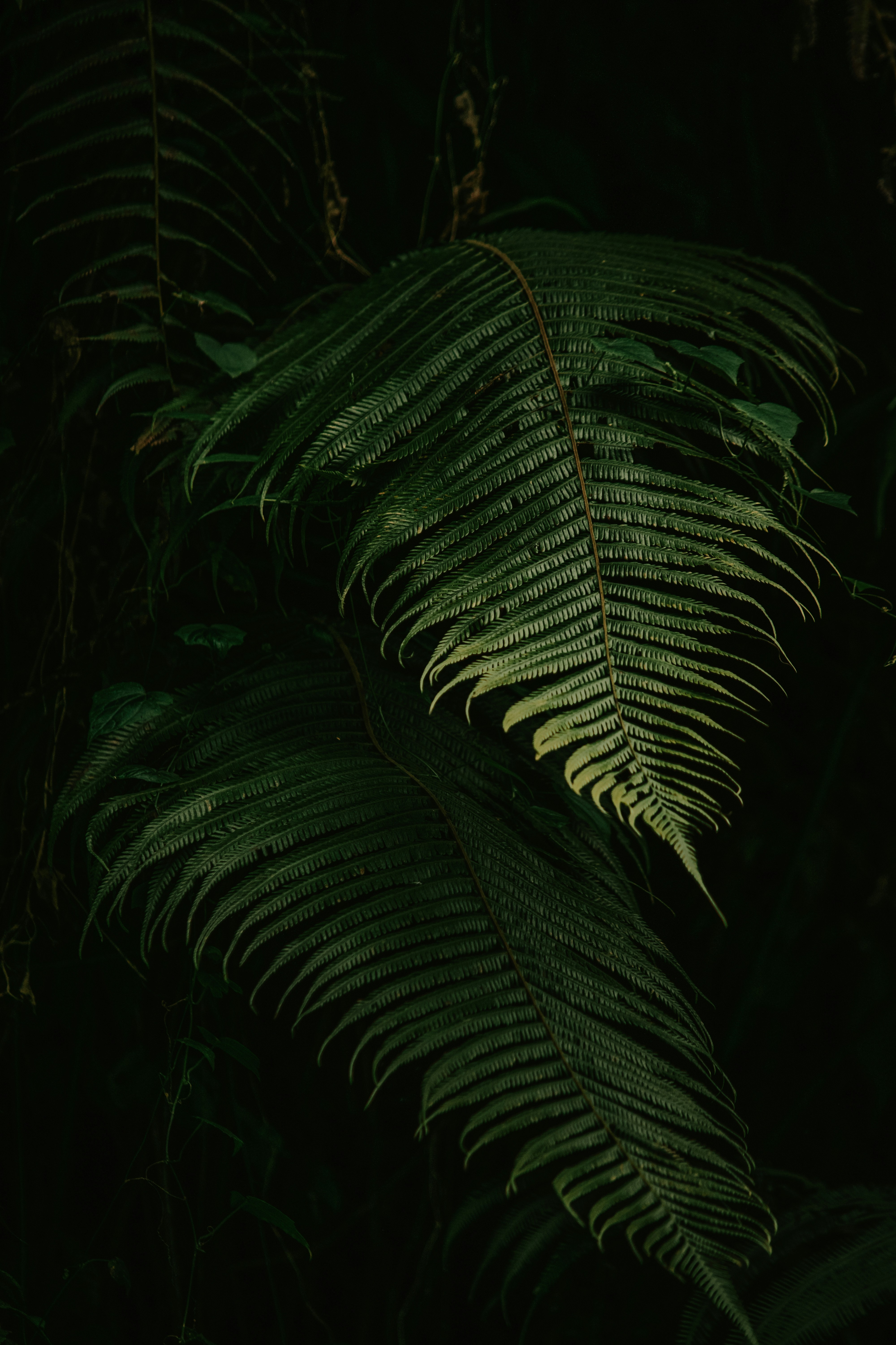 Photo by utunzajiwamazingira